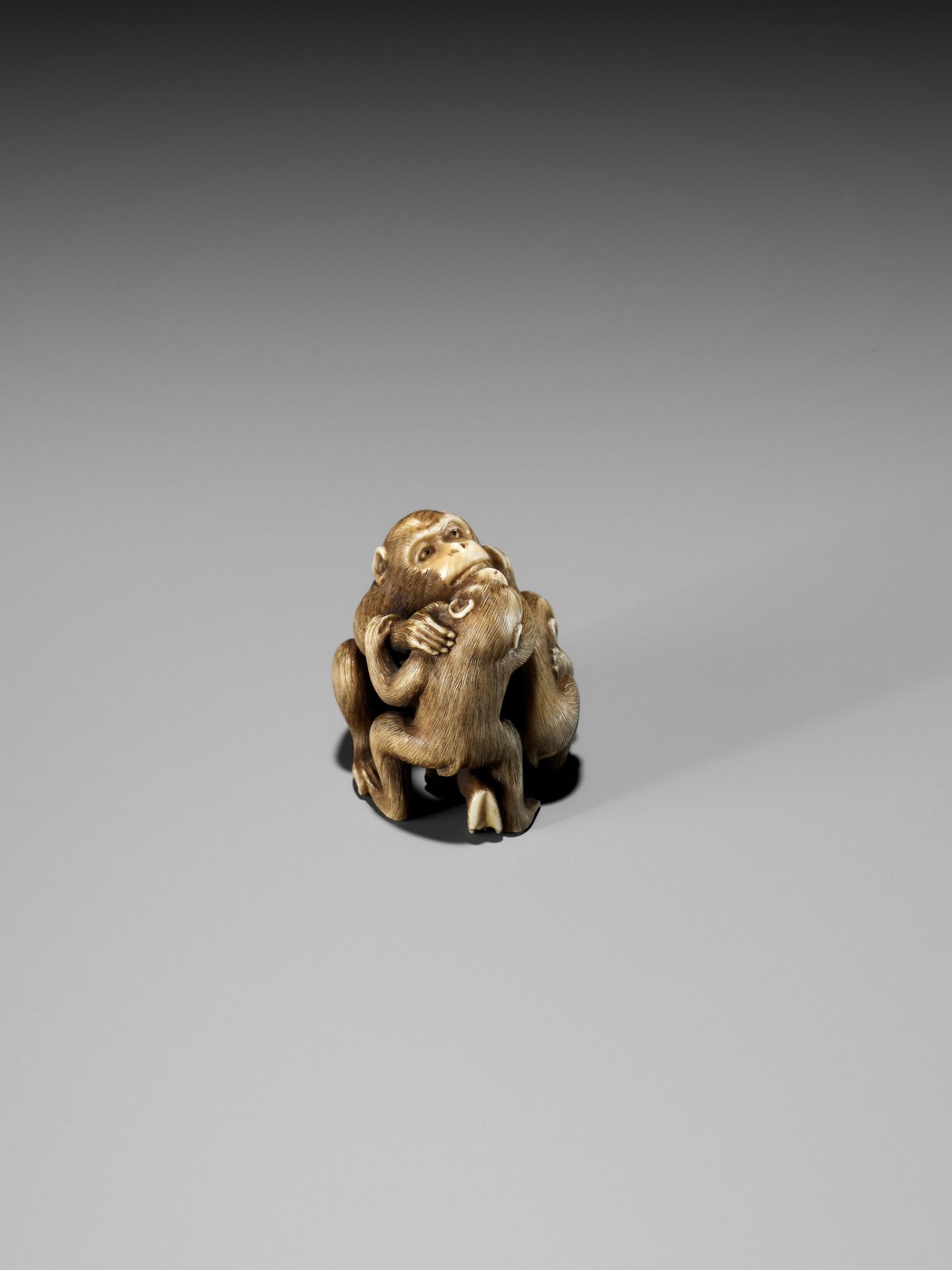 IKKOSAI: A FINE IVORY NETSUKE OF A MONKEY WITH TWO YOUNG - Bild 13 aus 17