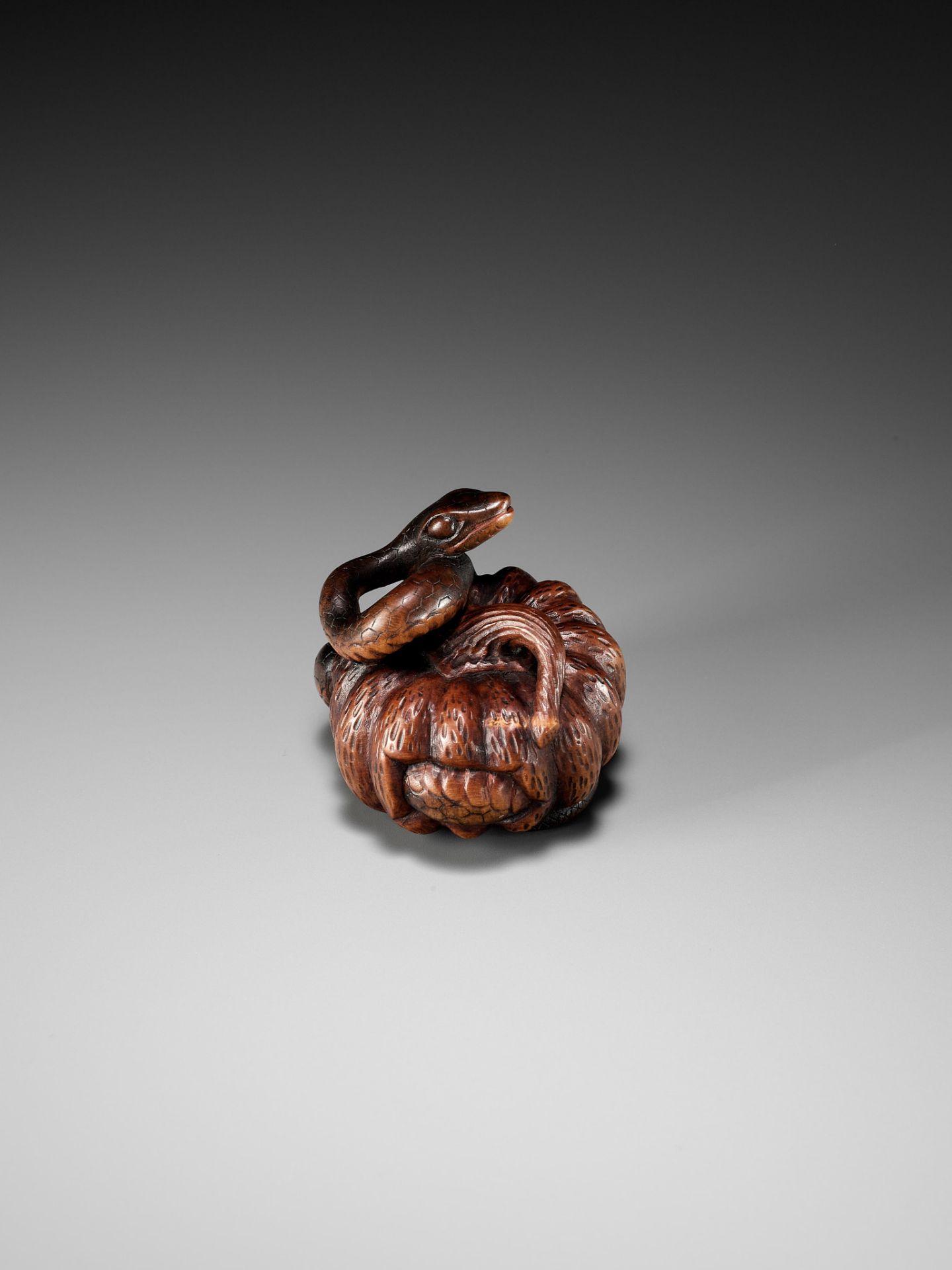 SHIGEMASA: A FINE NAGOYA SCHOOL WOOD NETSUKE OF SNAKE WINDING THROUGH A PUMPKIN - Bild 3 aus 11