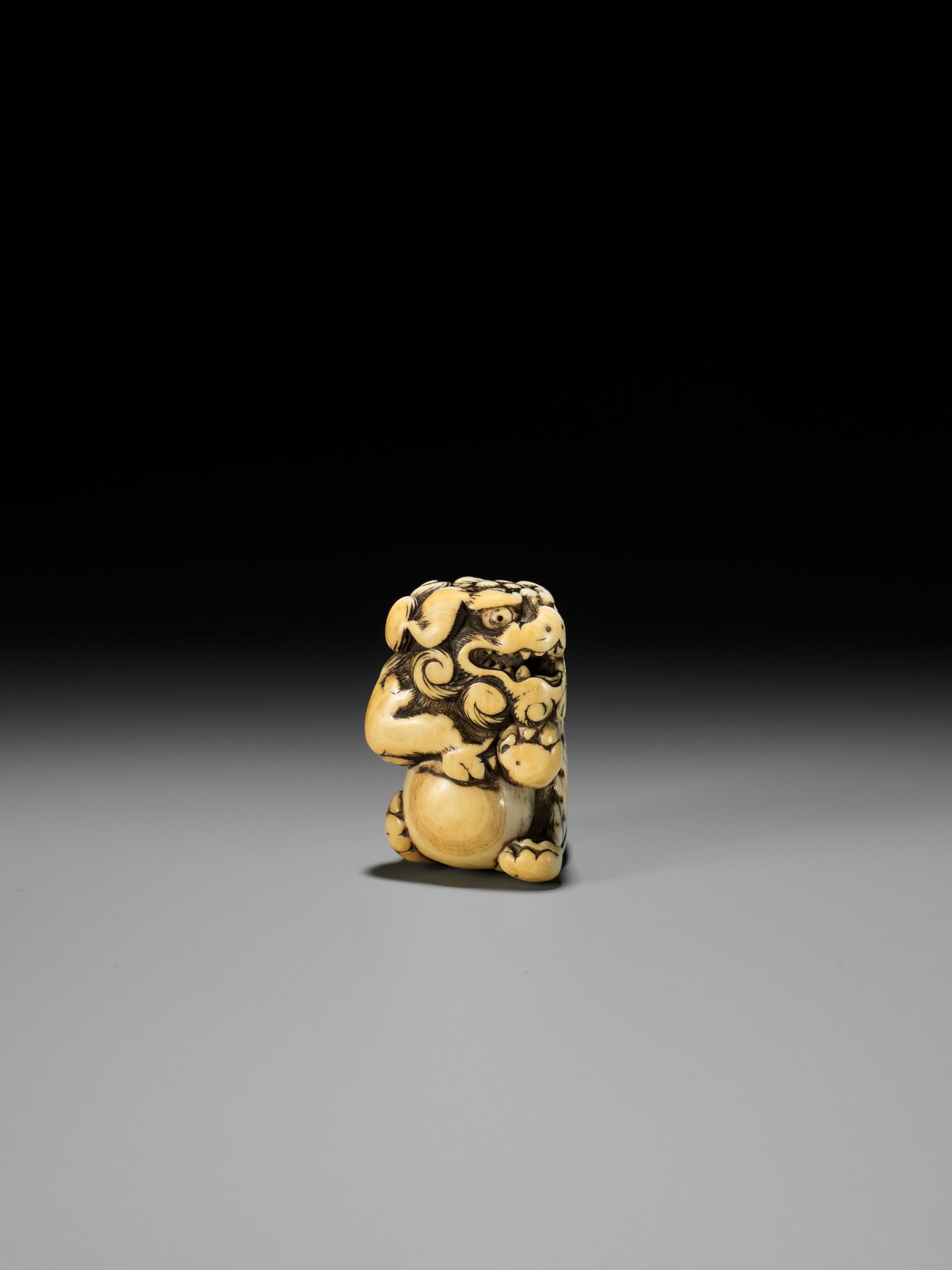 AN IVORY NETSUKE OF A SNARLING SHISHI WITH BALL - Bild 4 aus 13