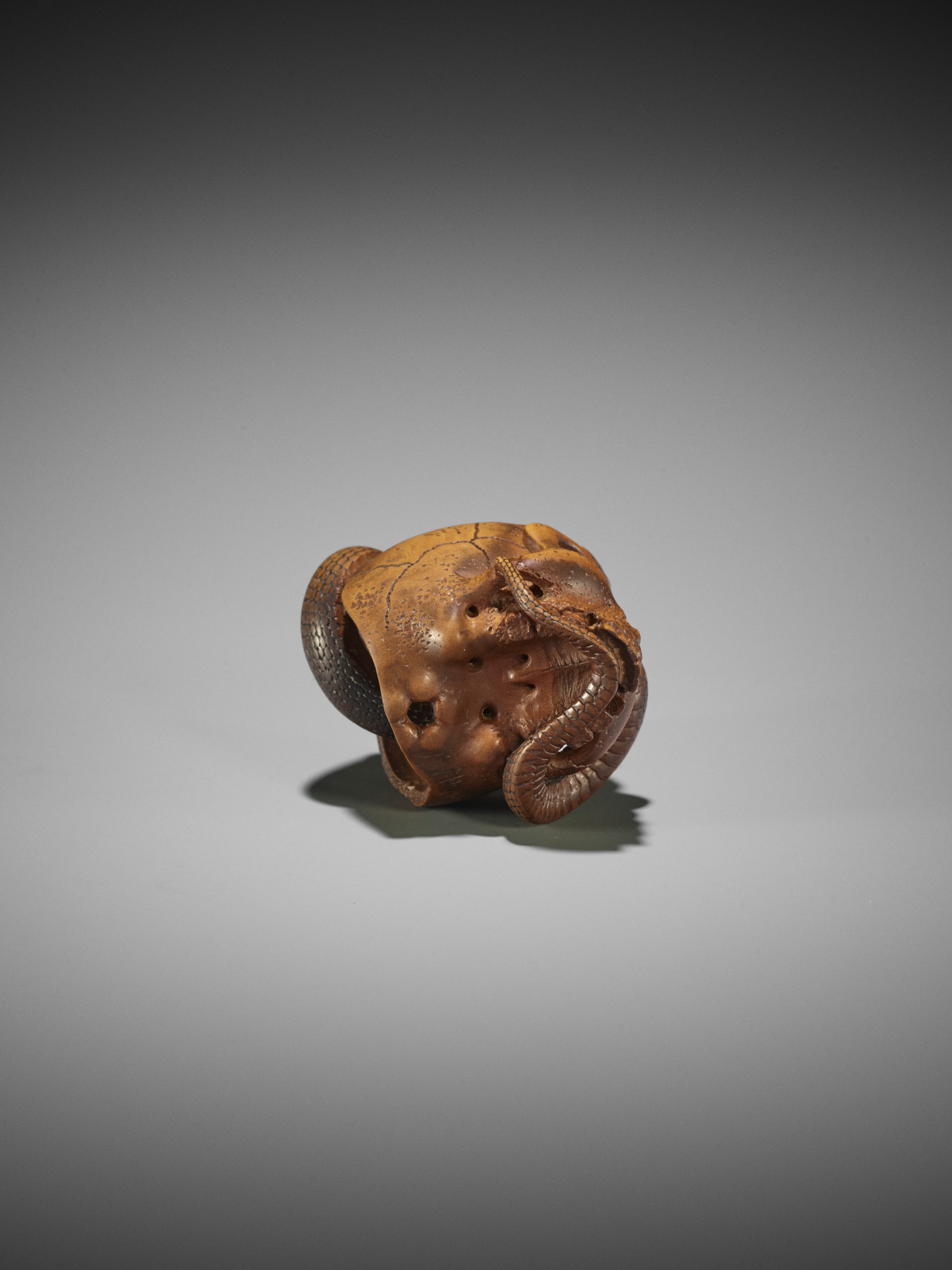 SUKEYUKI: A MASTERFUL WOOD NETSUKE OF A SNAKE AND SKULL - Image 18 of 19