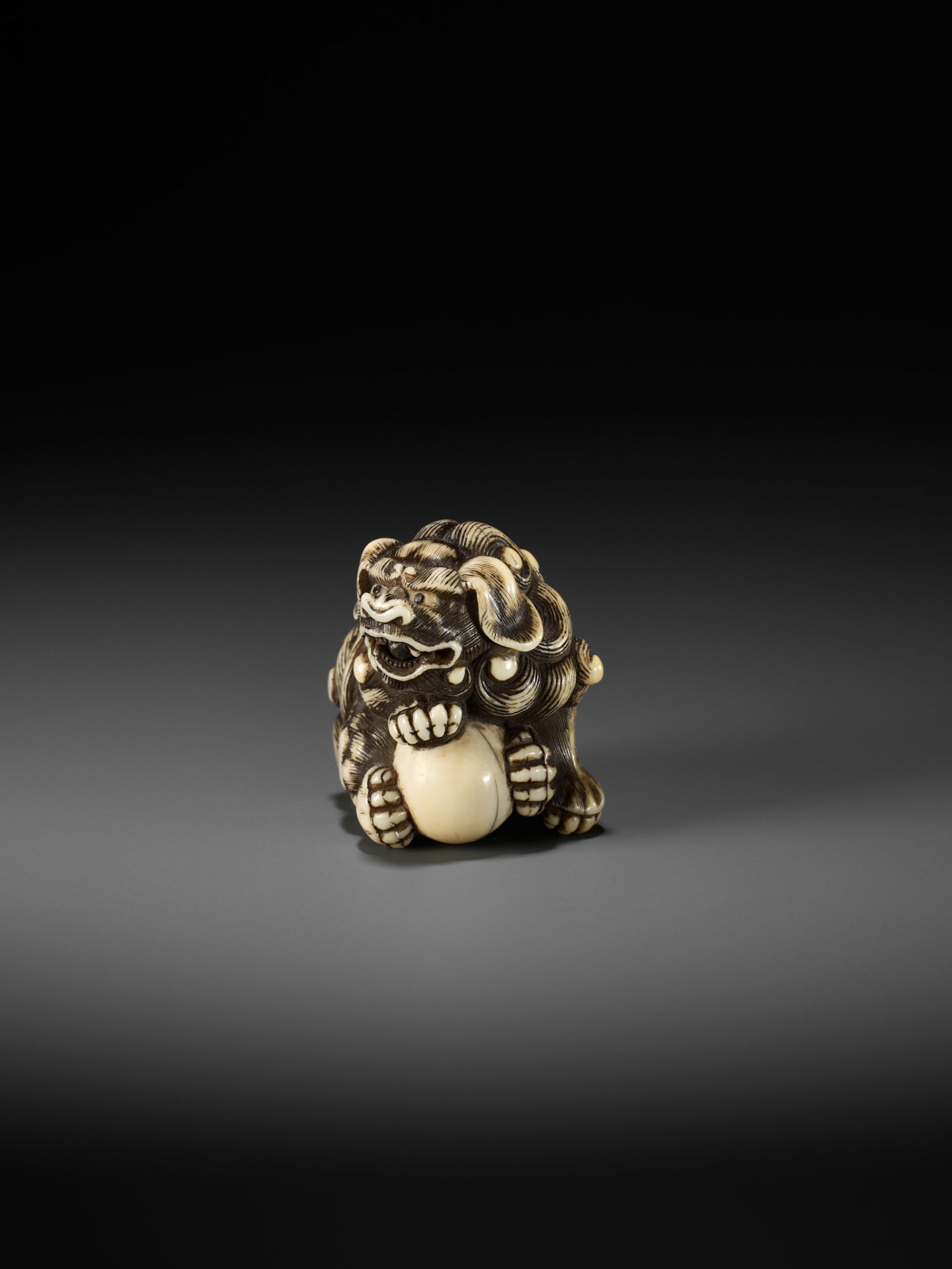 GYOKUZAN: AN IVORY NETSUKE OF A SHISHI - Bild 3 aus 13