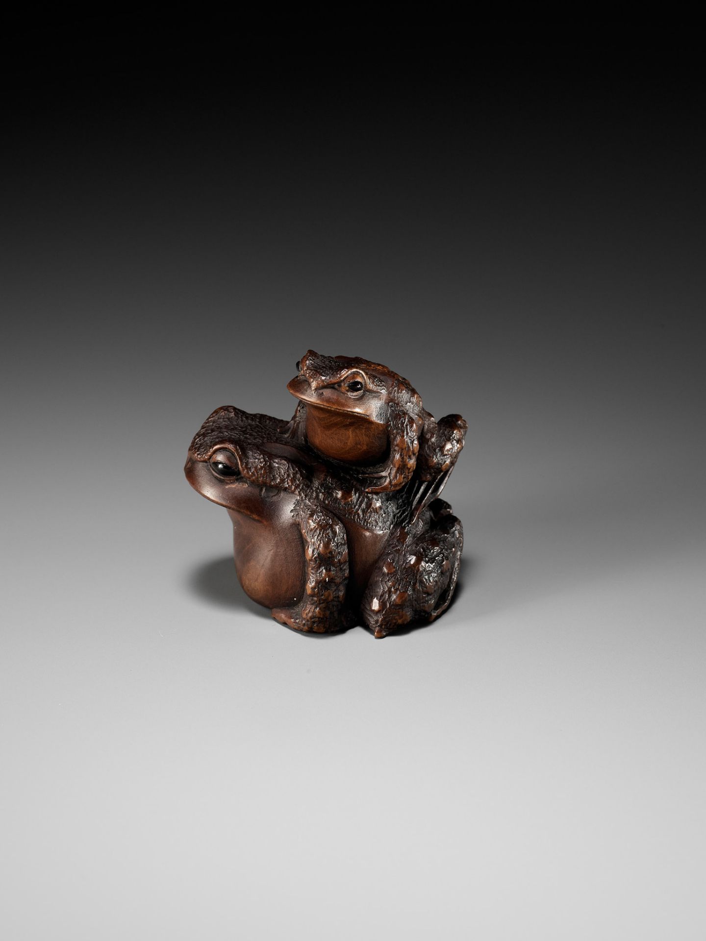 MASANAO: A FINE WOOD NETSUKE OF A TOAD WITH YOUNG - Image 7 of 15