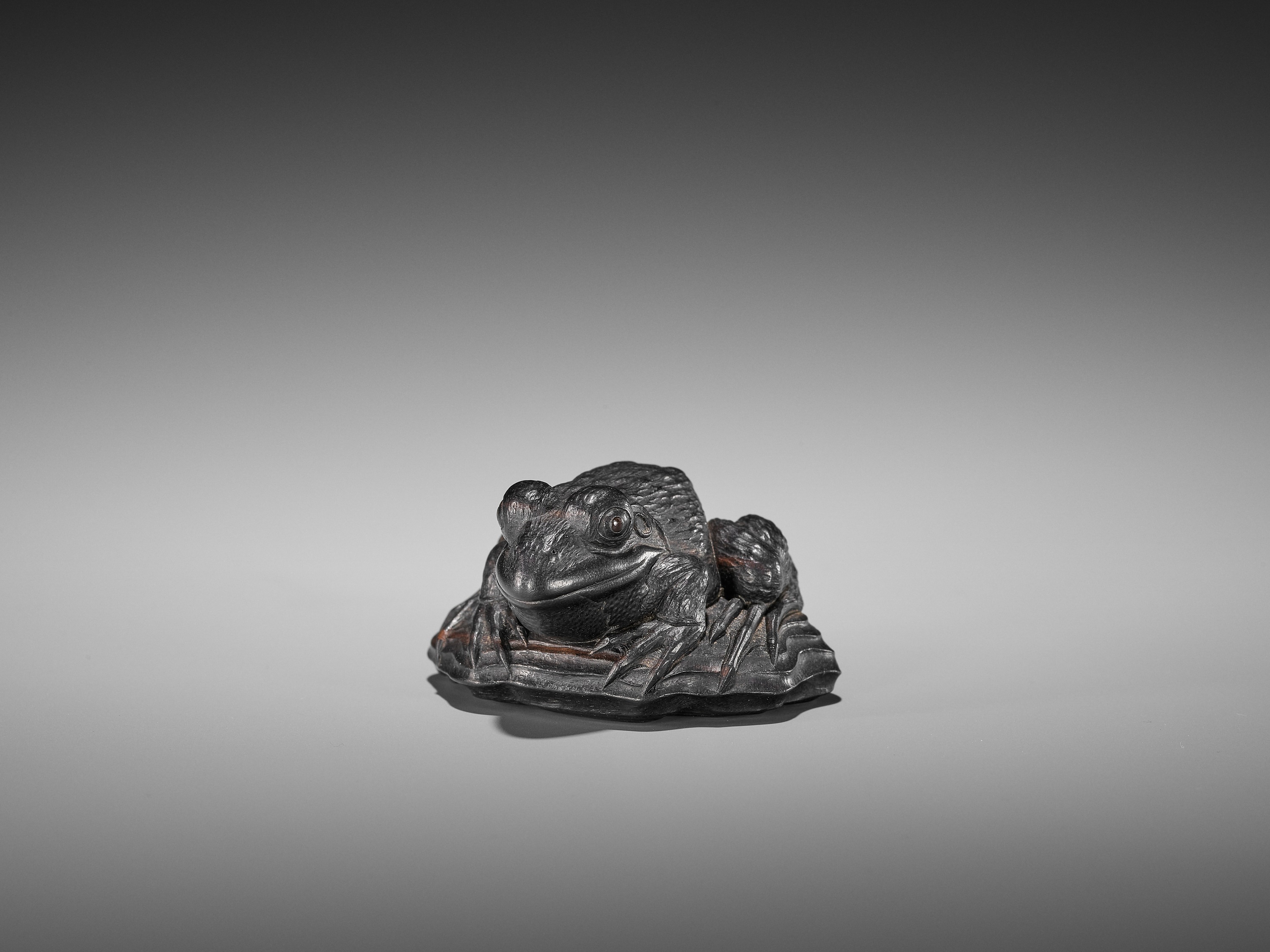 A SUPERB EBONY WOOD NETSUKE OF A FROG ON DRIFTWOOD ATTRIBUTED TO SEIYODO TOMIHARU - Image 17 of 20