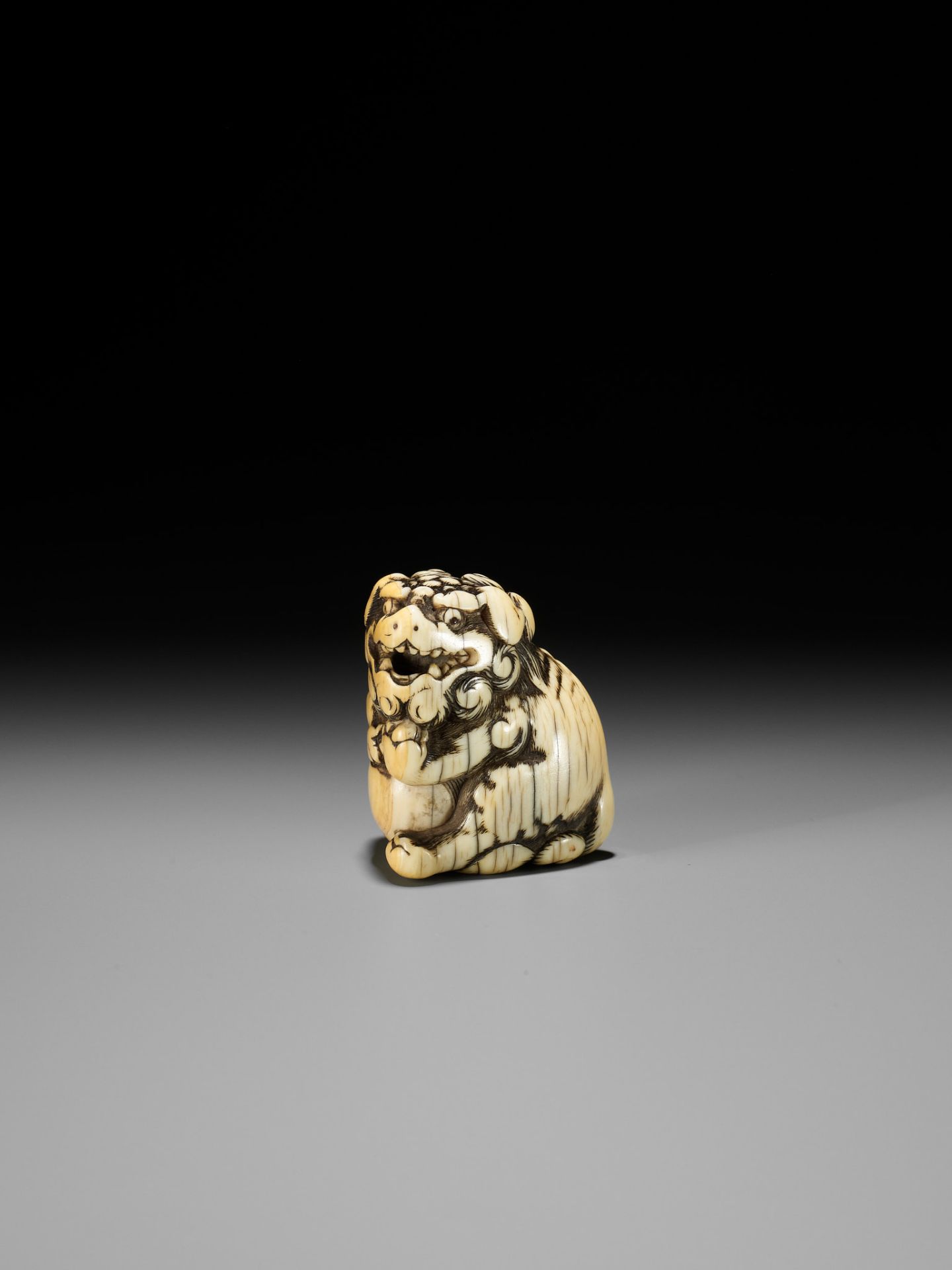 AN IVORY NETSUKE OF A SNARLING SHISHI WITH BALL - Bild 7 aus 13