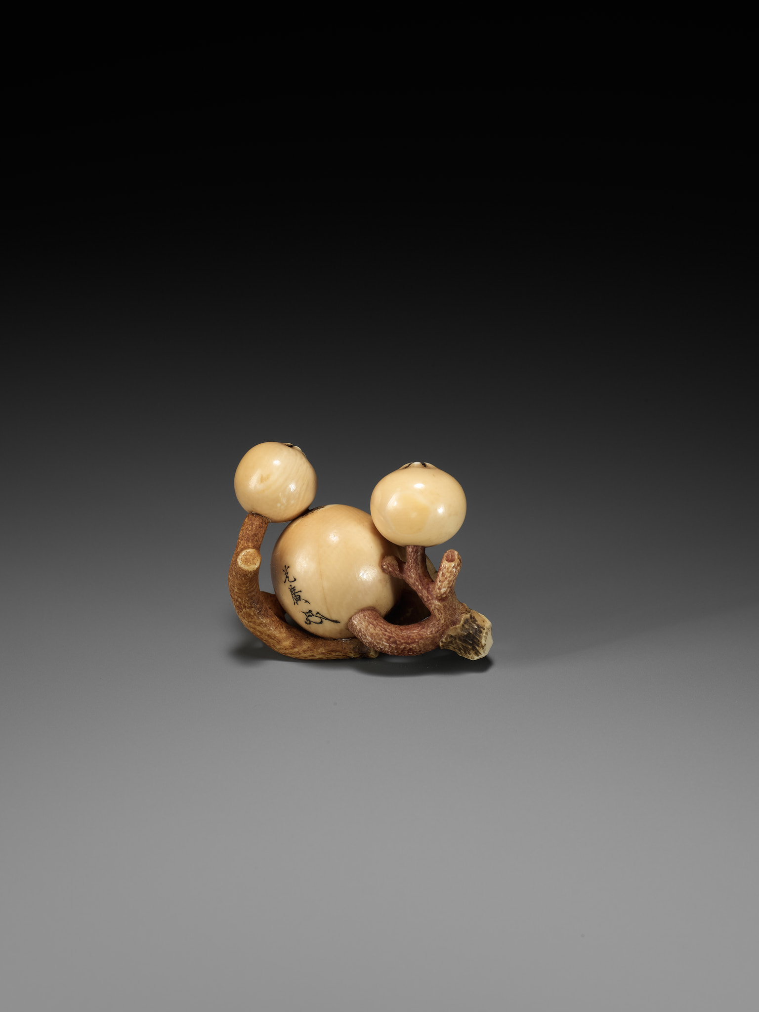 MITSUHIRO: A FINE IVORY NETSUKE OF A BIWA (LOQUAT) - Bild 9 aus 16