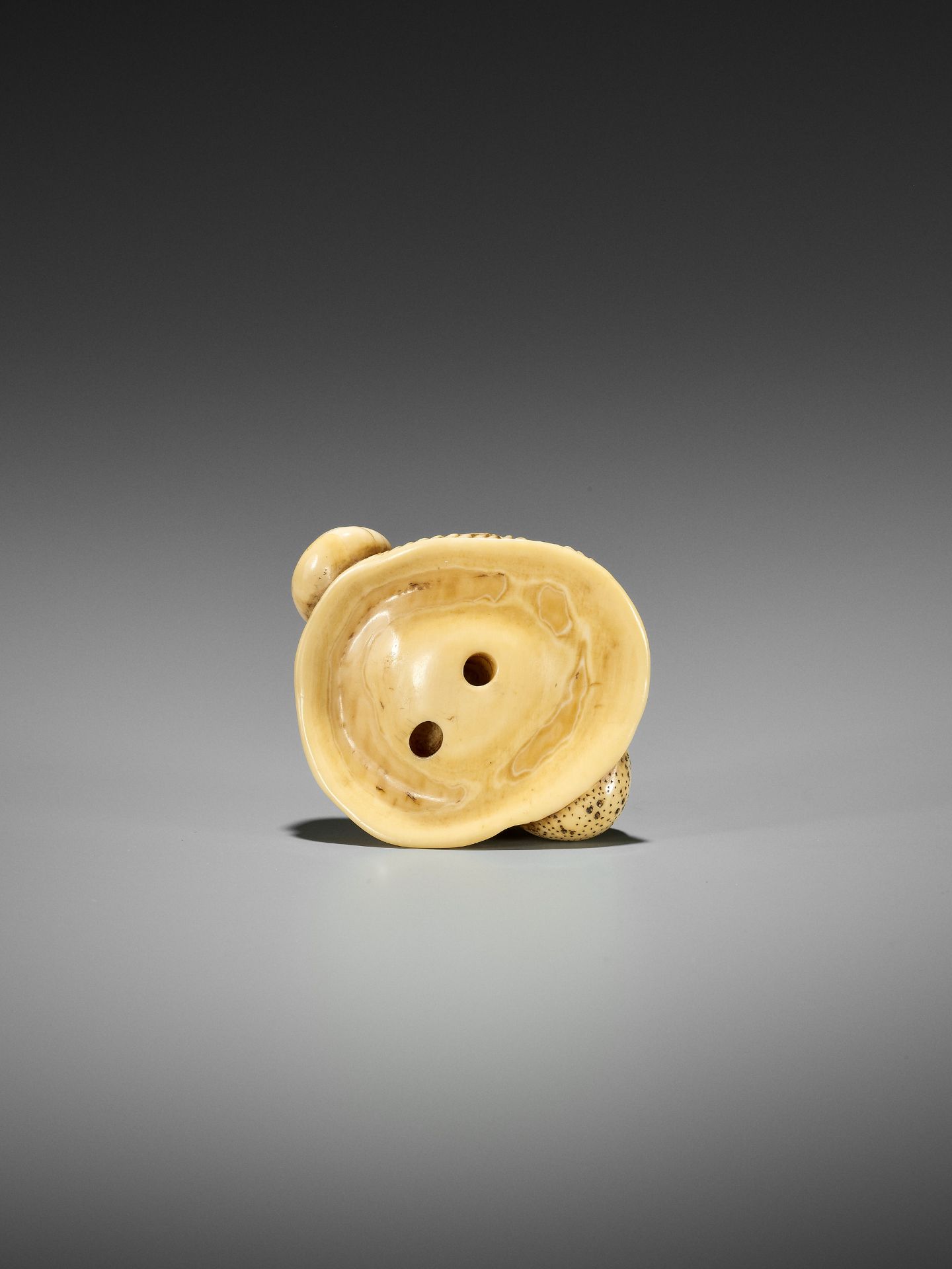 A FINE IVORY NETSUKE OF A SNAIL ON LARGE MUSHROOM - Bild 4 aus 15