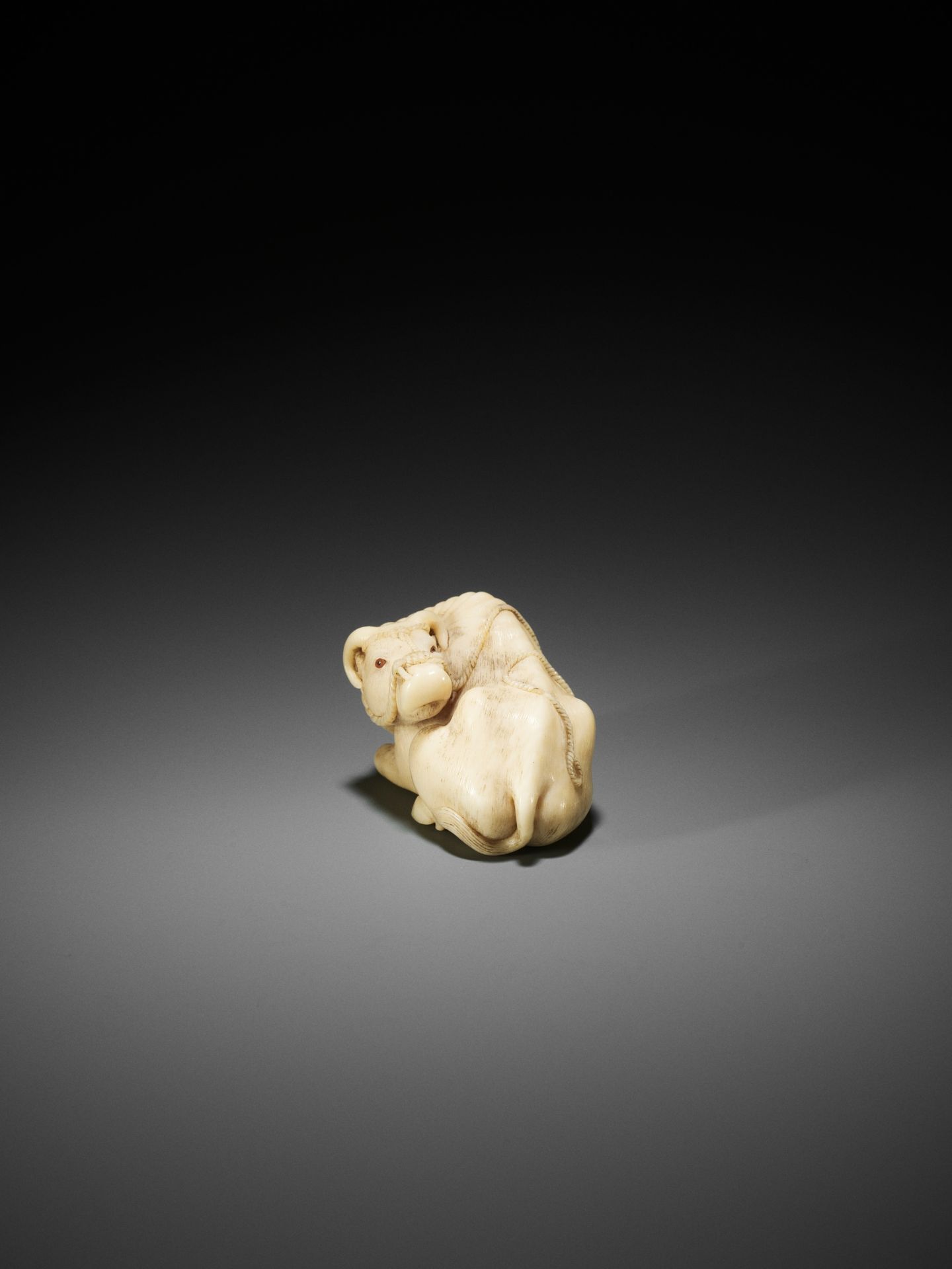 KAIGYOKUSAI MASATSUGU: A MASTERFUL AND IMPORTANT IVORY NETSUKE OF A RECUMBENT OX - Image 16 of 30