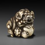 GYOKUZAN: AN IVORY NETSUKE OF A SHISHI