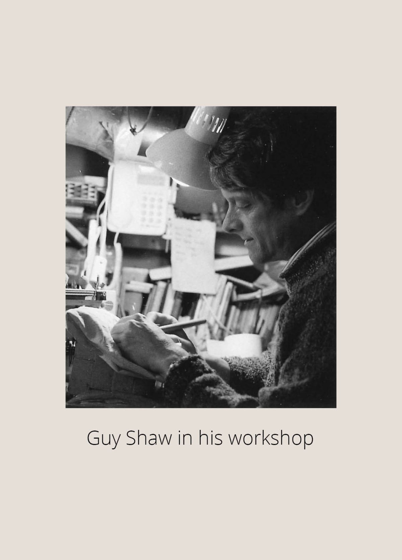 GUY SHAW: OWL - Image 6 of 16