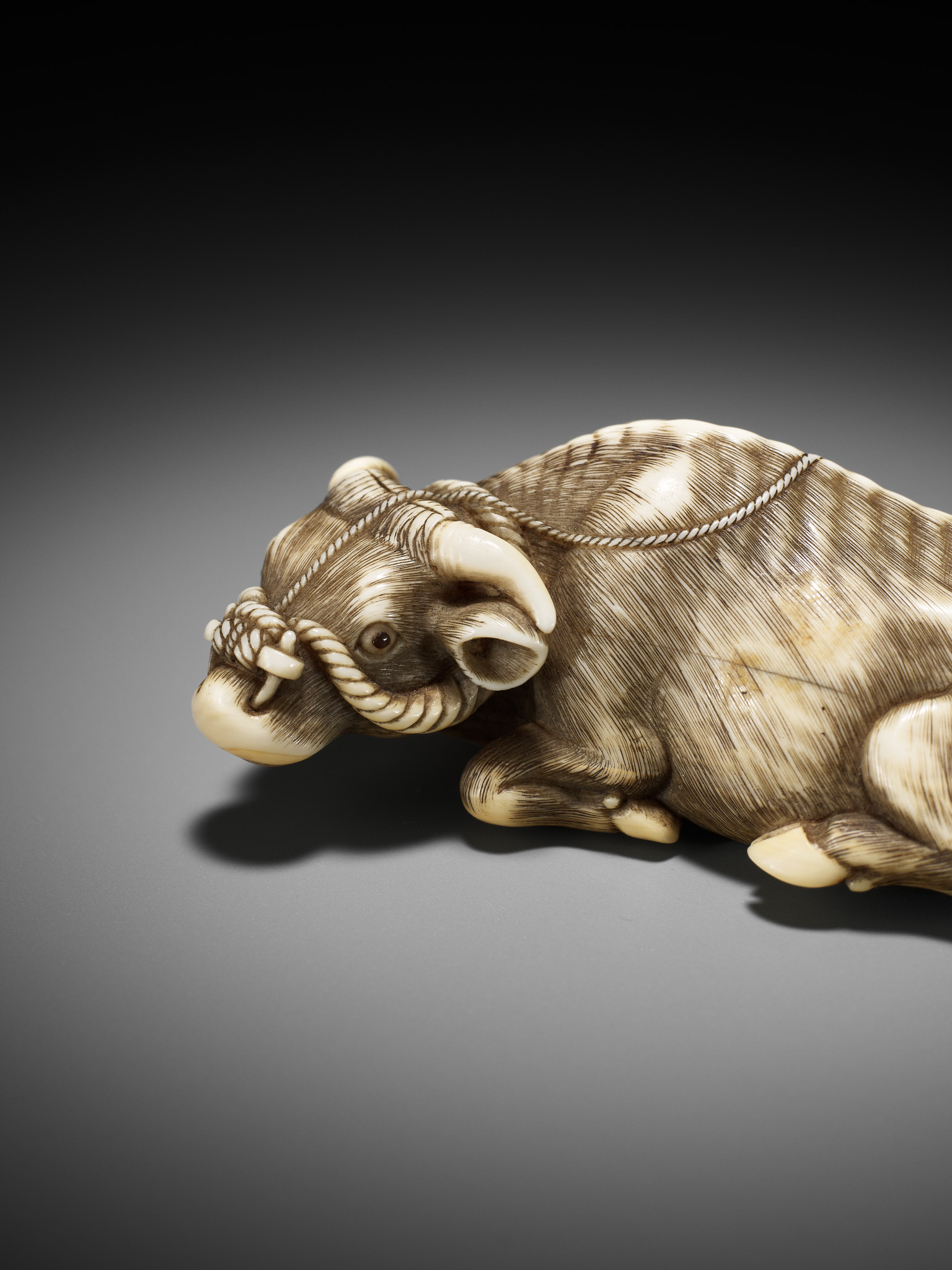 A SUPERB IVORY NETSUKE OF A RECUMBENT OX, ATTRIBUTED TO OKATOMO - Image 4 of 15