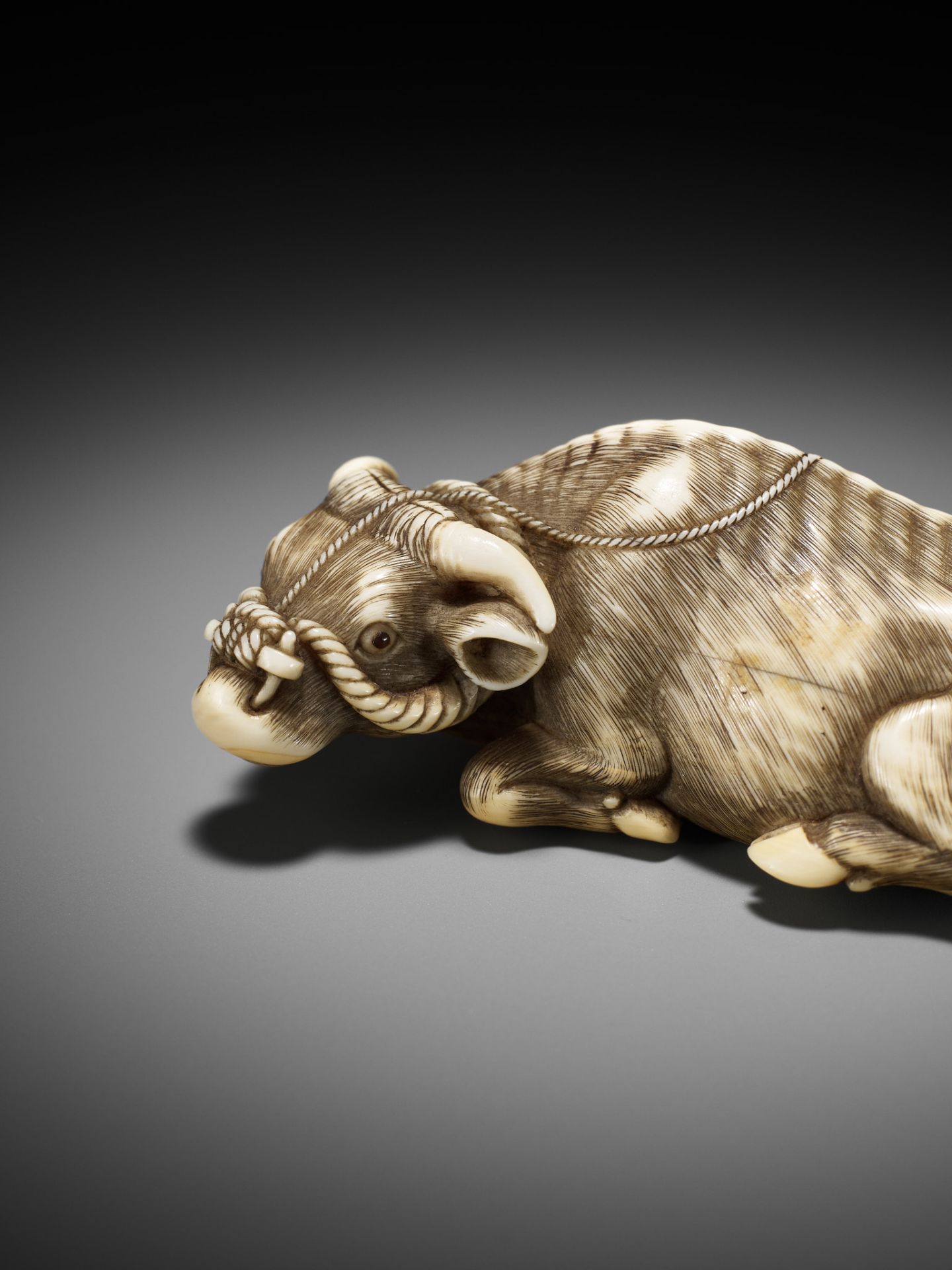 A SUPERB IVORY NETSUKE OF A RECUMBENT OX, ATTRIBUTED TO OKATOMO - Bild 4 aus 15