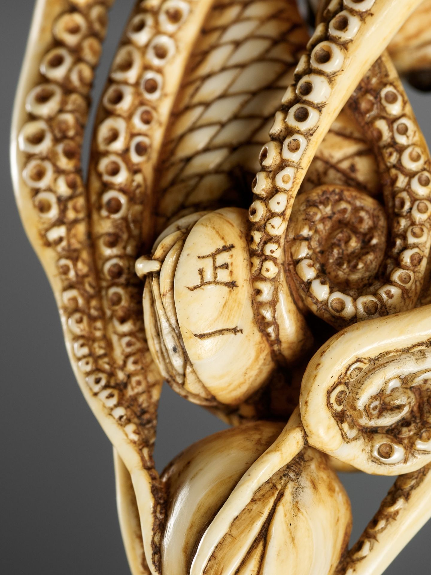 MASAKAZU: A LARGE AND IMPRESSIVE OSAKA SCHOOL IVORY NETSUKE OF AN OCTOPUS WITH CLAMS - Image 13 of 14