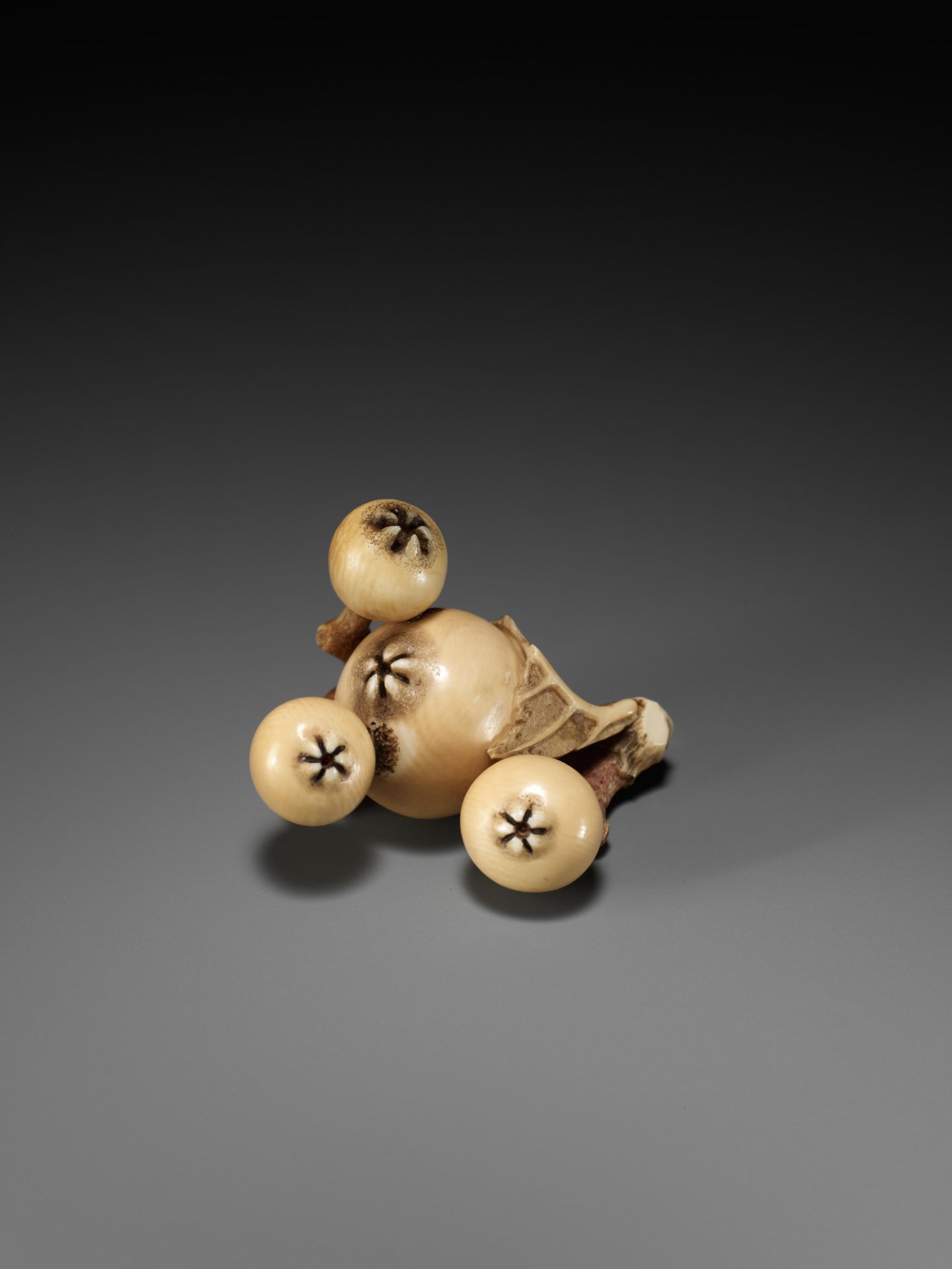 MITSUHIRO: A FINE IVORY NETSUKE OF A BIWA (LOQUAT) - Bild 13 aus 16