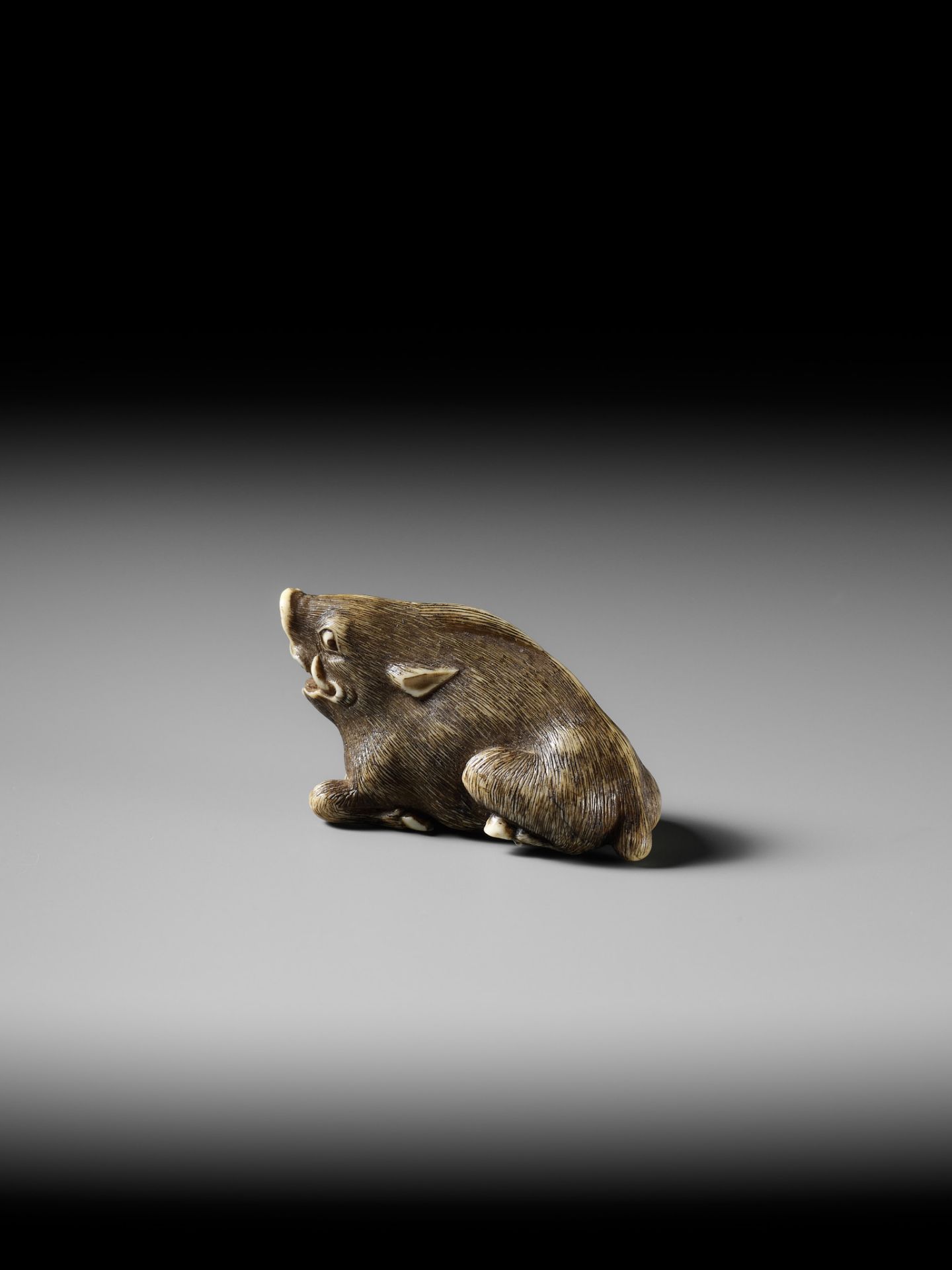 A KYOTO SCHOOL IVORY NETSUKE OF A FRIGHTENED RECLINING BOAR - Image 9 of 13