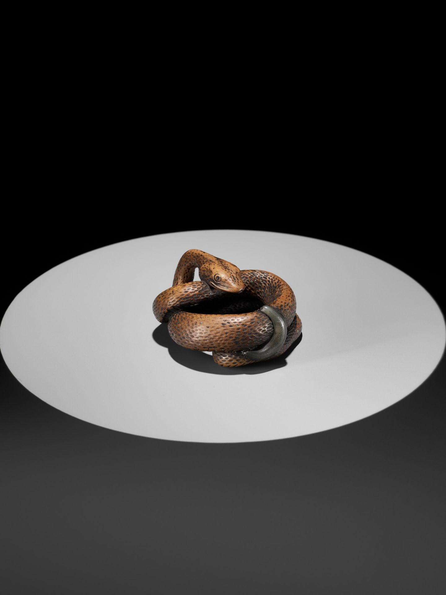 A LARGE AND POWERFUL WOOD NETSUKE OF A COILED SNAKE WITH AN INLAID SLUG BY TOMOKAZU - Bild 2 aus 13