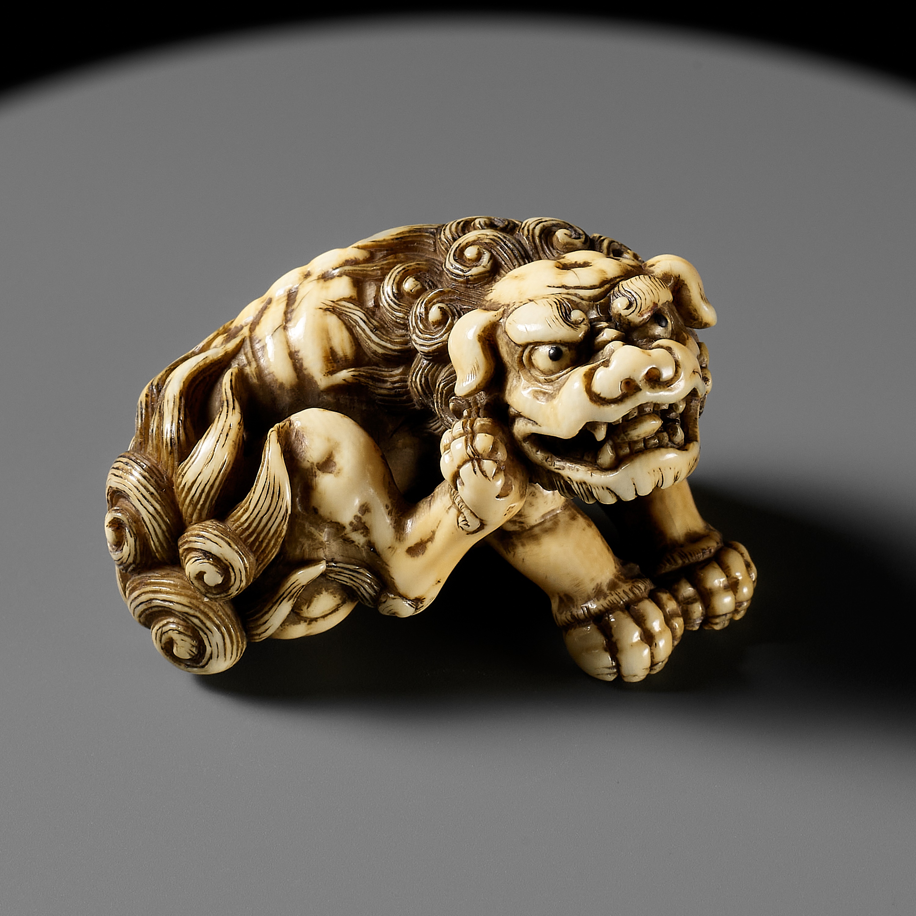 TOMOTADA: A SUPERB IVORY NETSUKE OF A RECUMBENT SHISHI SCRATCHING ITS JOWL