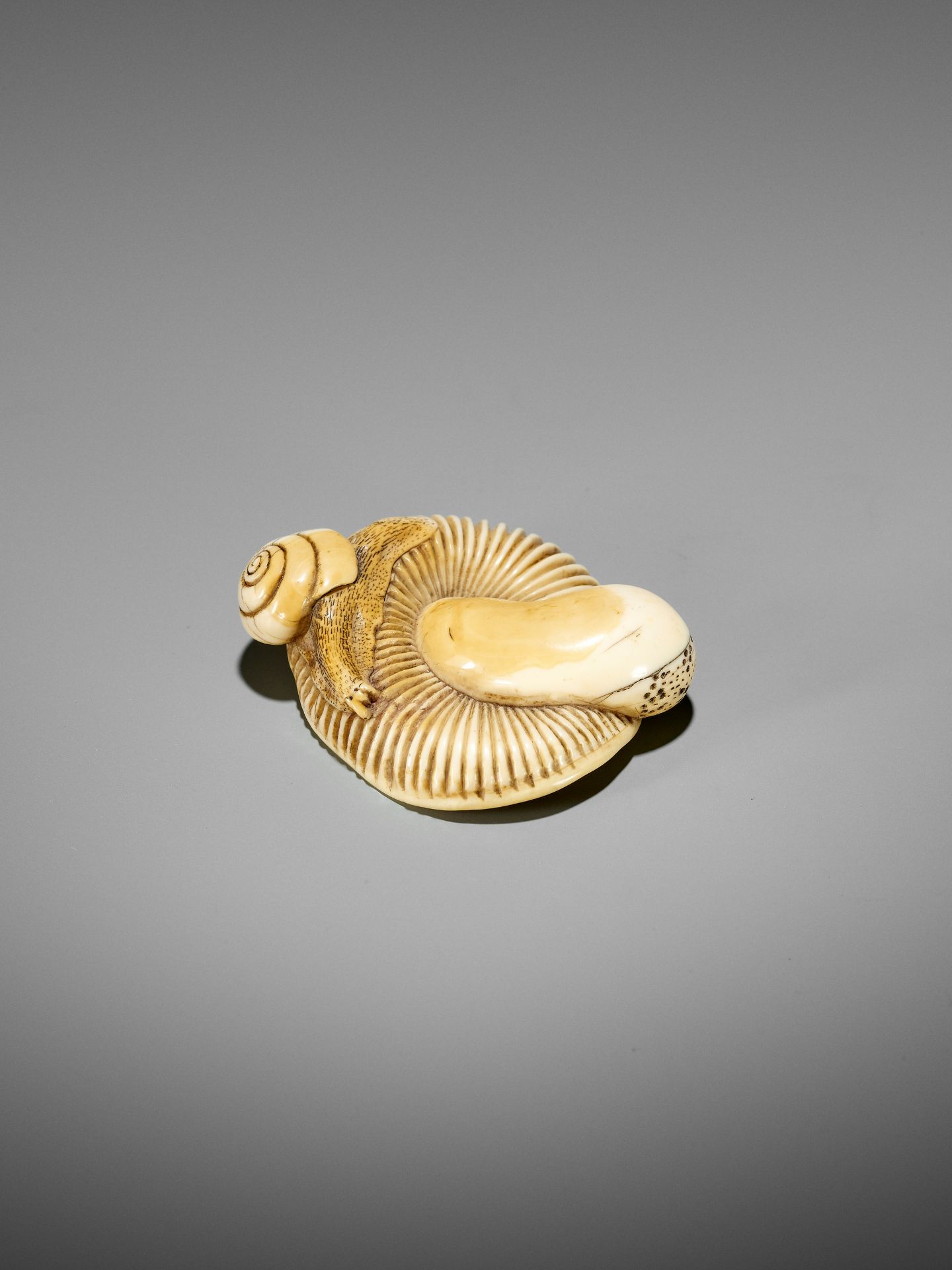 A FINE IVORY NETSUKE OF A SNAIL ON LARGE MUSHROOM - Bild 11 aus 15