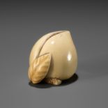 RANICHI: AN IVORY NETSUKE OF A PEACH