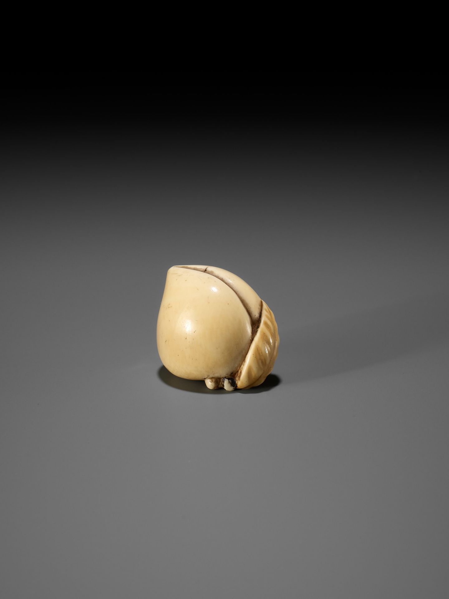 RANICHI: AN IVORY NETSUKE OF A PEACH - Bild 7 aus 12