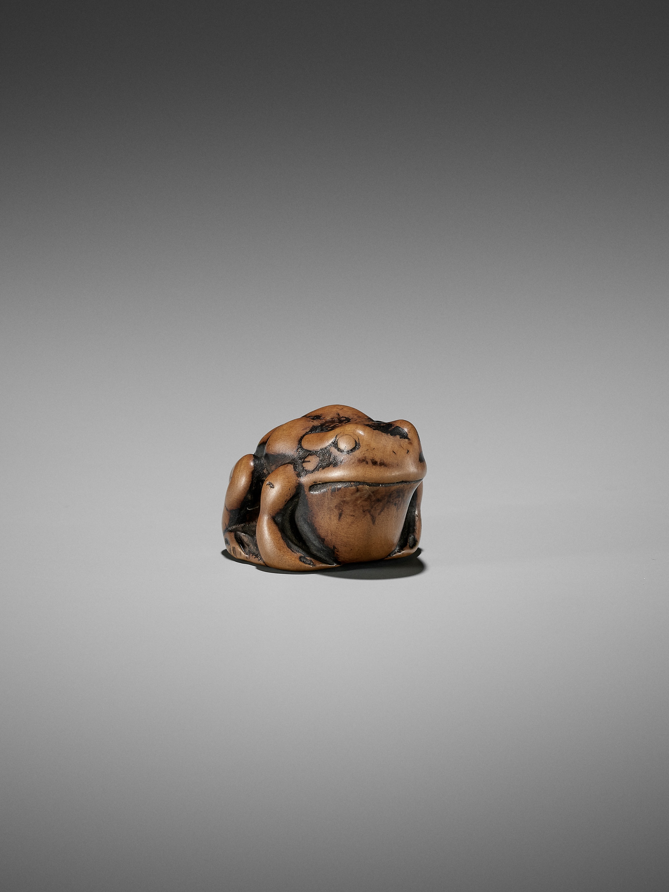 AN EARLY WOOD NETSUKE OF A TOAD - Image 7 of 12