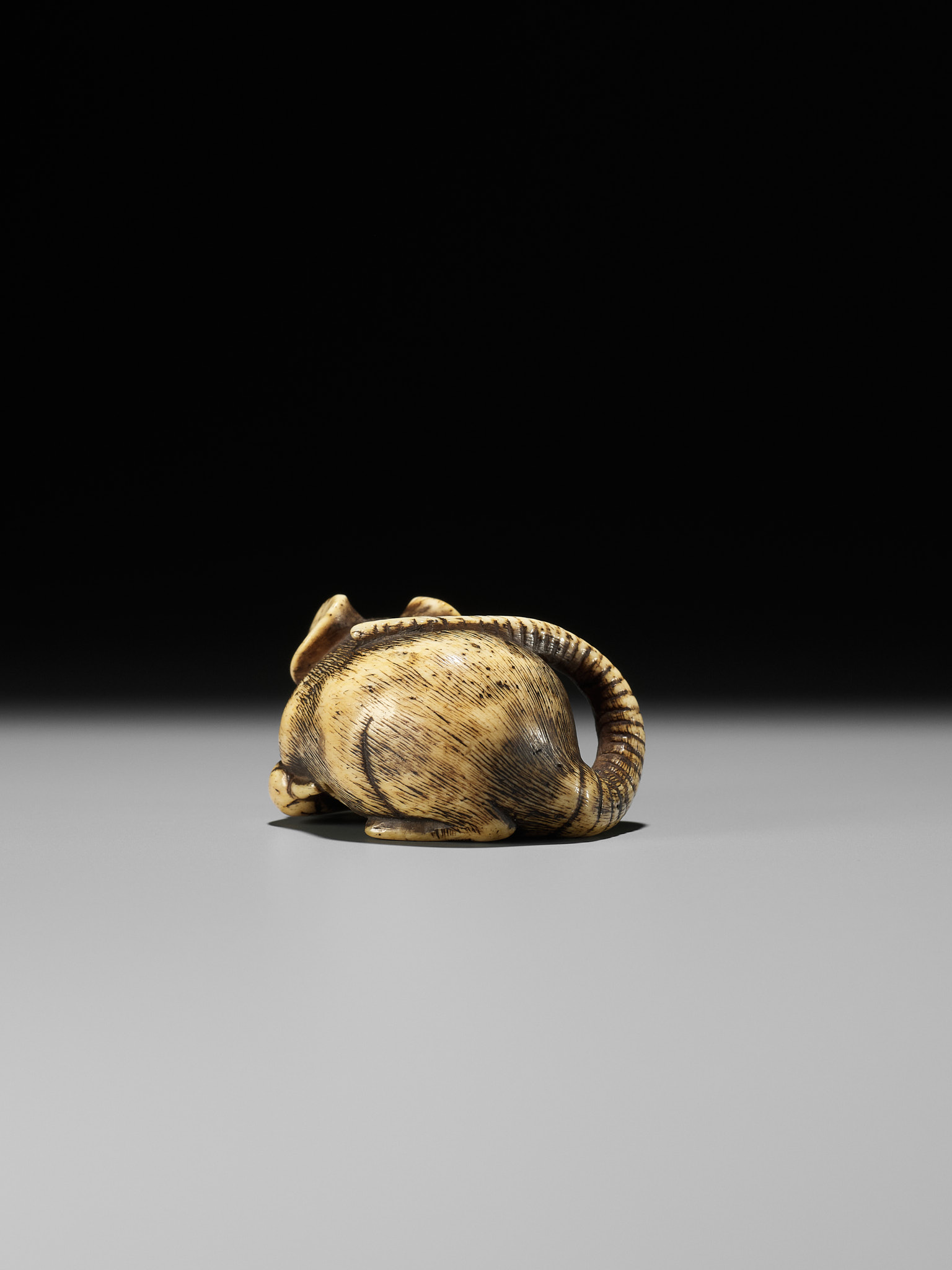 A FINE KYOTO SCHOOL ANTLER NETSUKE OF A RAT EATING A PEPPER - Bild 11 aus 12