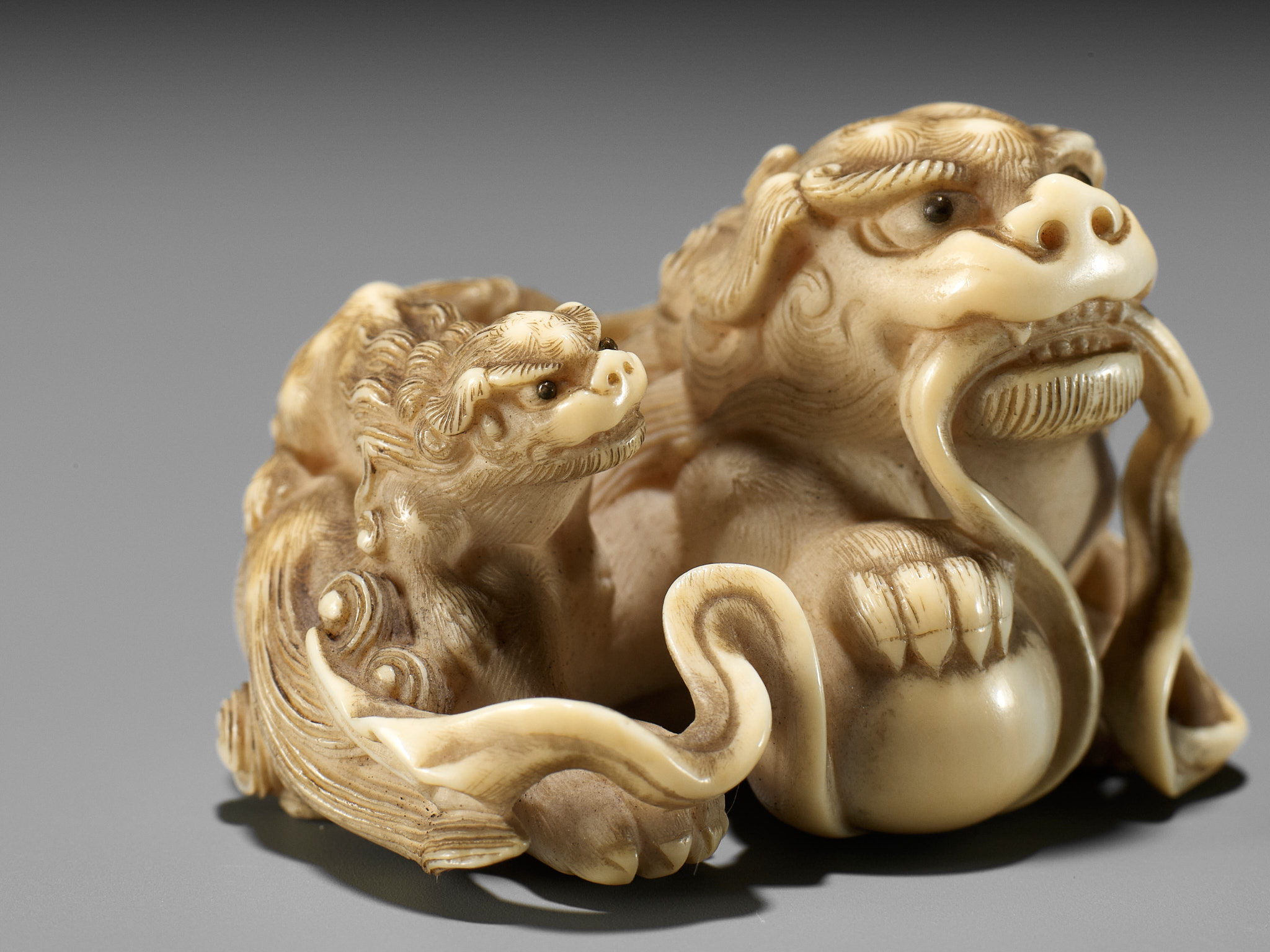 HAKURYU: A FINE IVORY NETSUKE OF A SHISHI AND YOUNG - Image 2 of 14