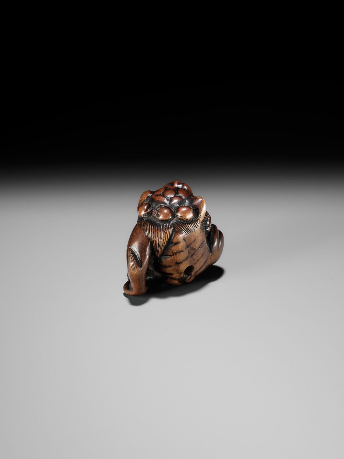 A WOOD NETSUKE OF A SHISHI SCRATCHING ITS JOWL, ATTRIBUTED TO RISUKE GARAKU - Image 8 of 12