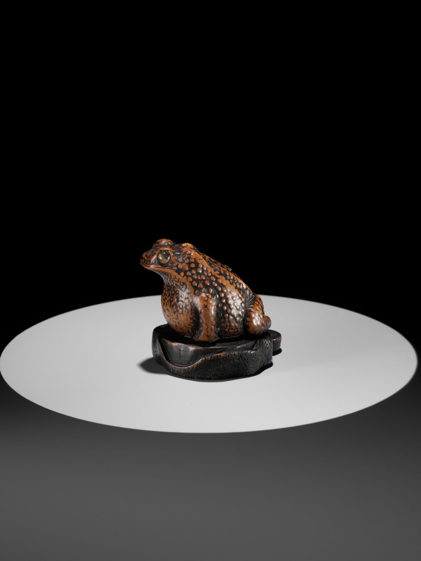 A LARGE AND UNUSUAL WOOD NETSUKE OF A TOAD - Bild 7 aus 11