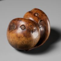 SARI: A SUPERB WOOD NETSUKE OF A PAIR OF BLOWFISH (FUGU)