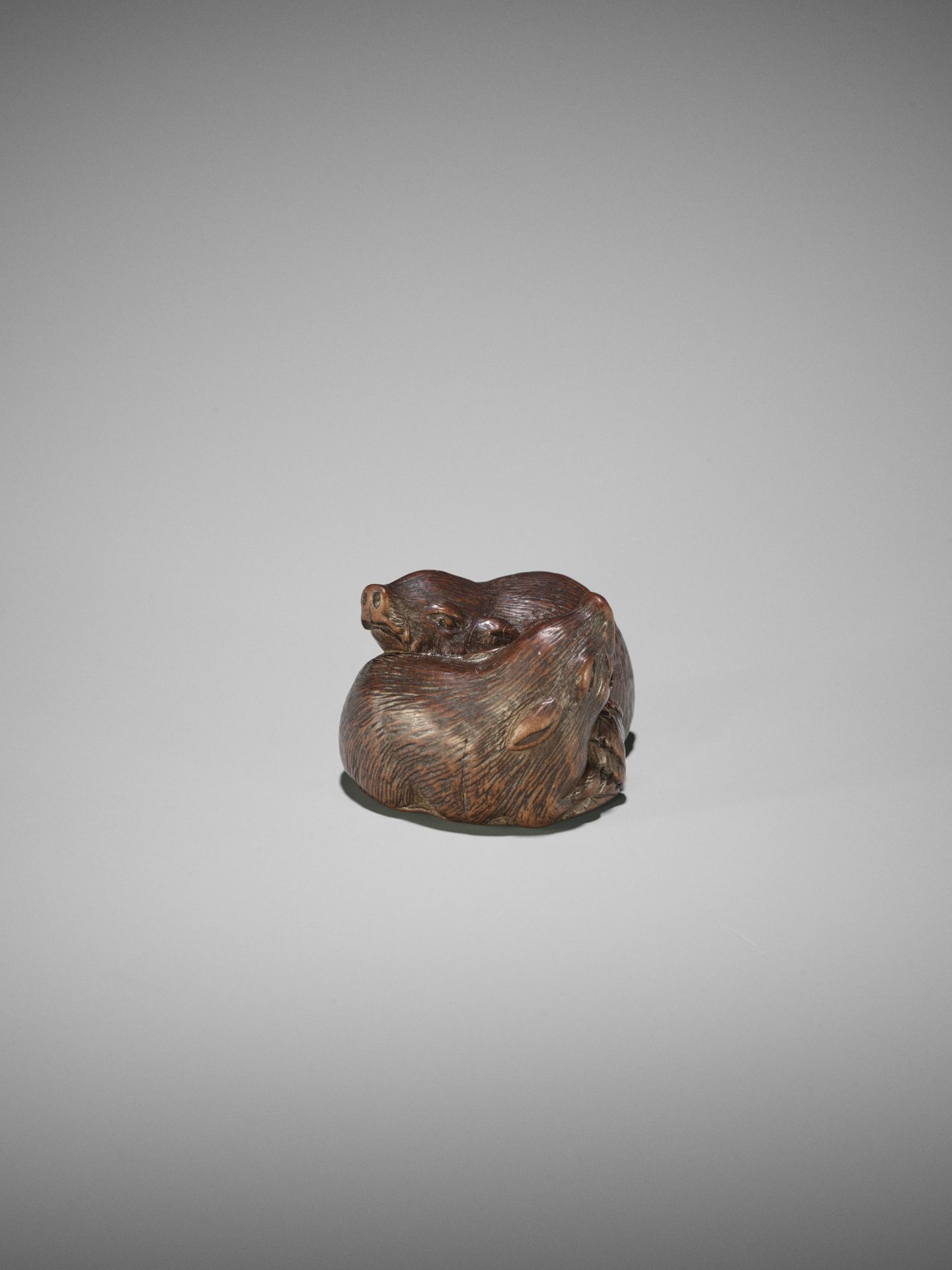 TAMETAKA: A WOOD NETSUKE OF TWO BOARS - Bild 12 aus 17