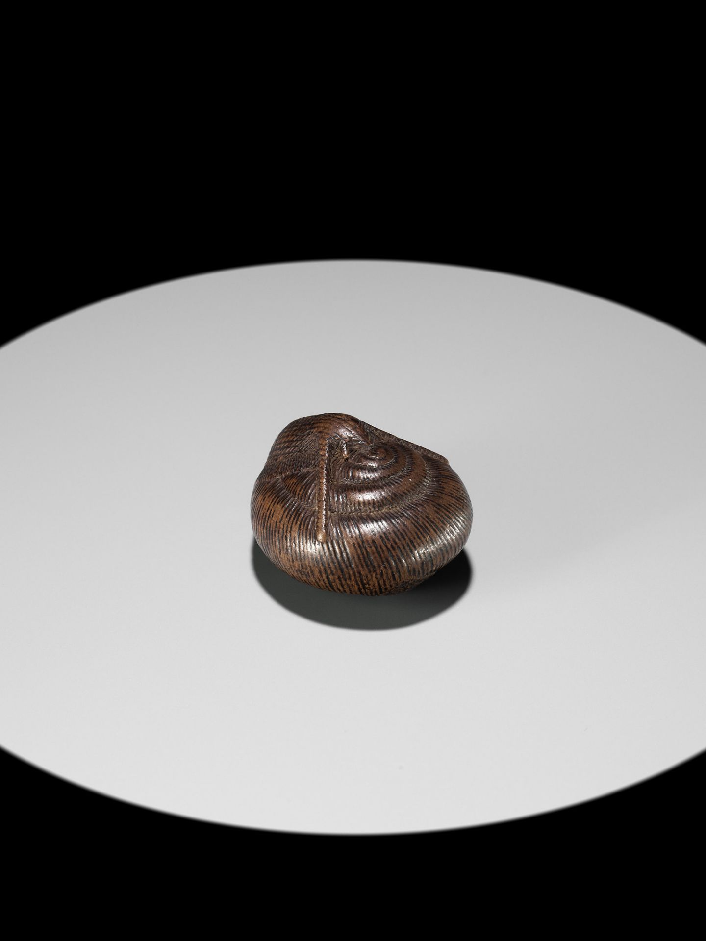 SARI: A FINE WOOD NETSUKE OF A SNAIL EMERGING FROM ITS SHELL - Bild 13 aus 17