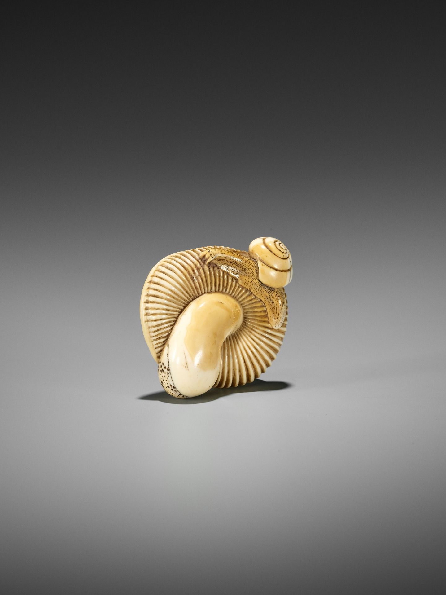 A FINE IVORY NETSUKE OF A SNAIL ON LARGE MUSHROOM - Bild 8 aus 15