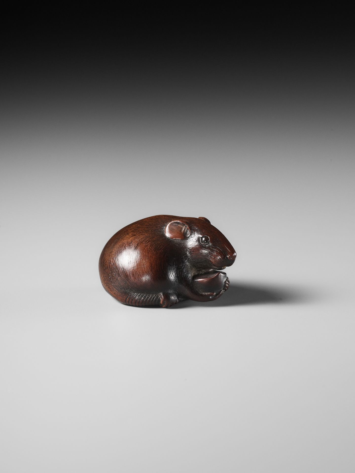 TOMOKAZU: A FINE WOOD NETSUKE OF A RAT EATING A CHESTNUT - Image 10 of 12