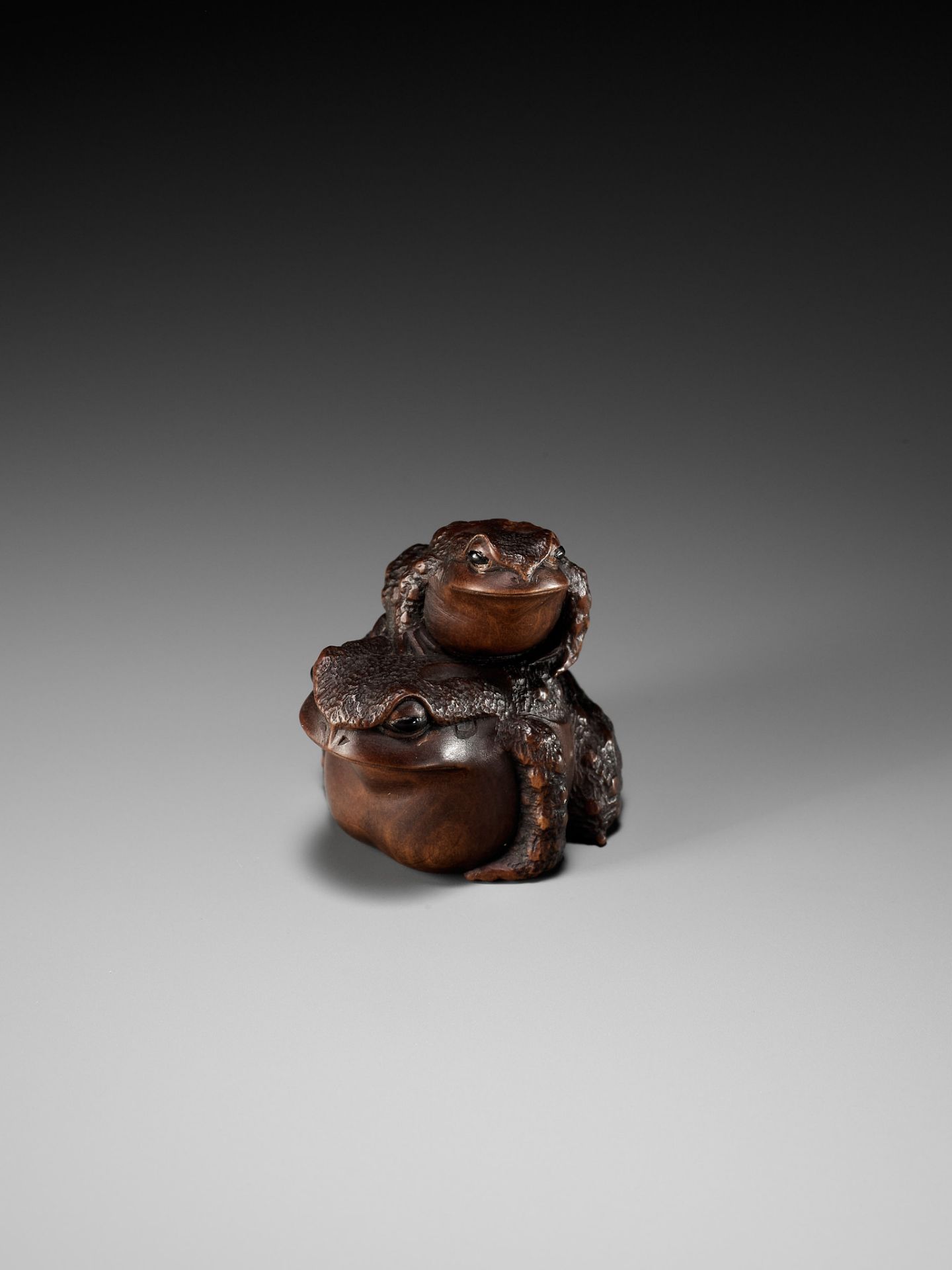 MASANAO: A FINE WOOD NETSUKE OF A TOAD WITH YOUNG - Image 6 of 15