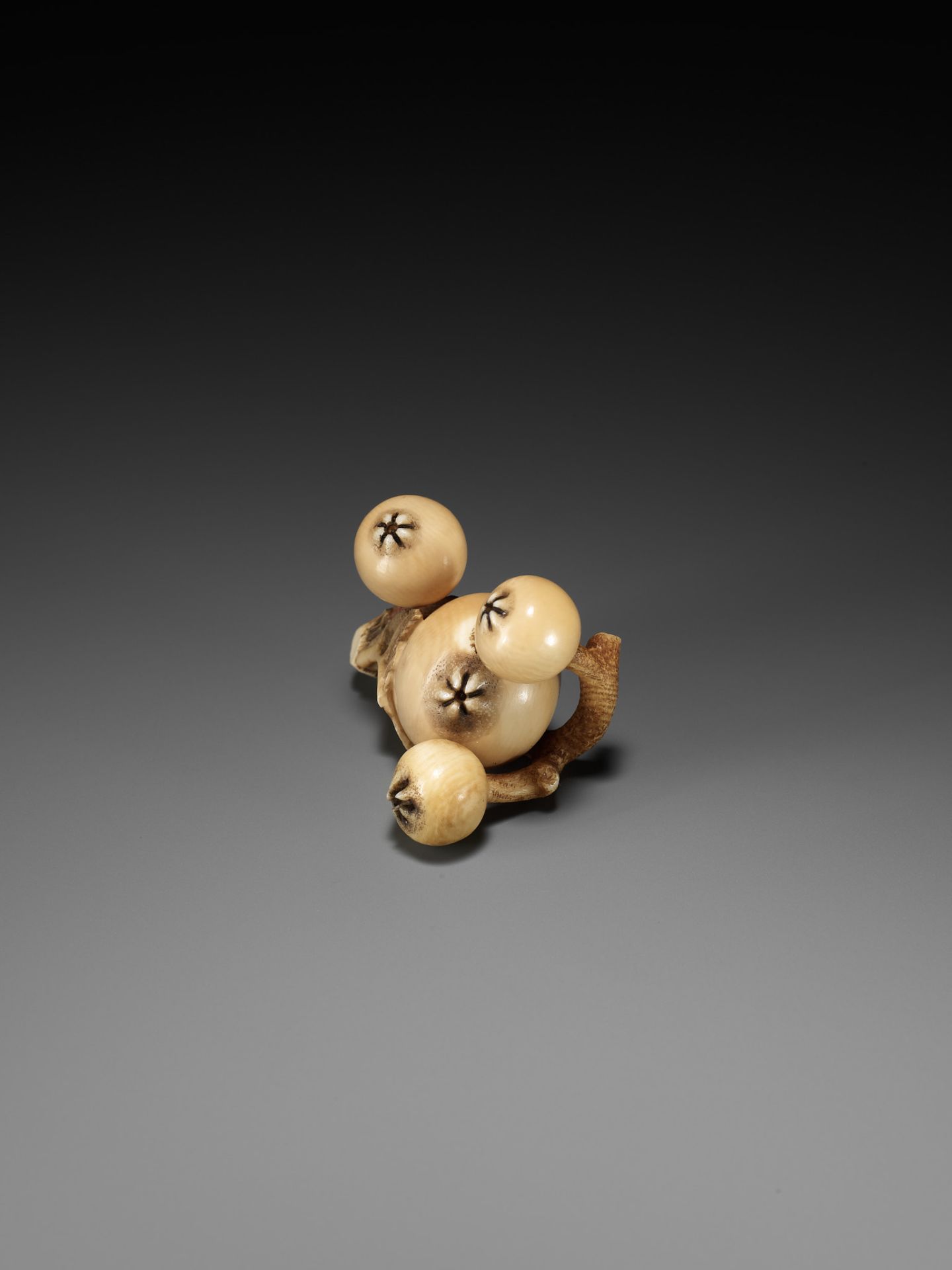 MITSUHIRO: A FINE IVORY NETSUKE OF A BIWA (LOQUAT) - Image 7 of 16