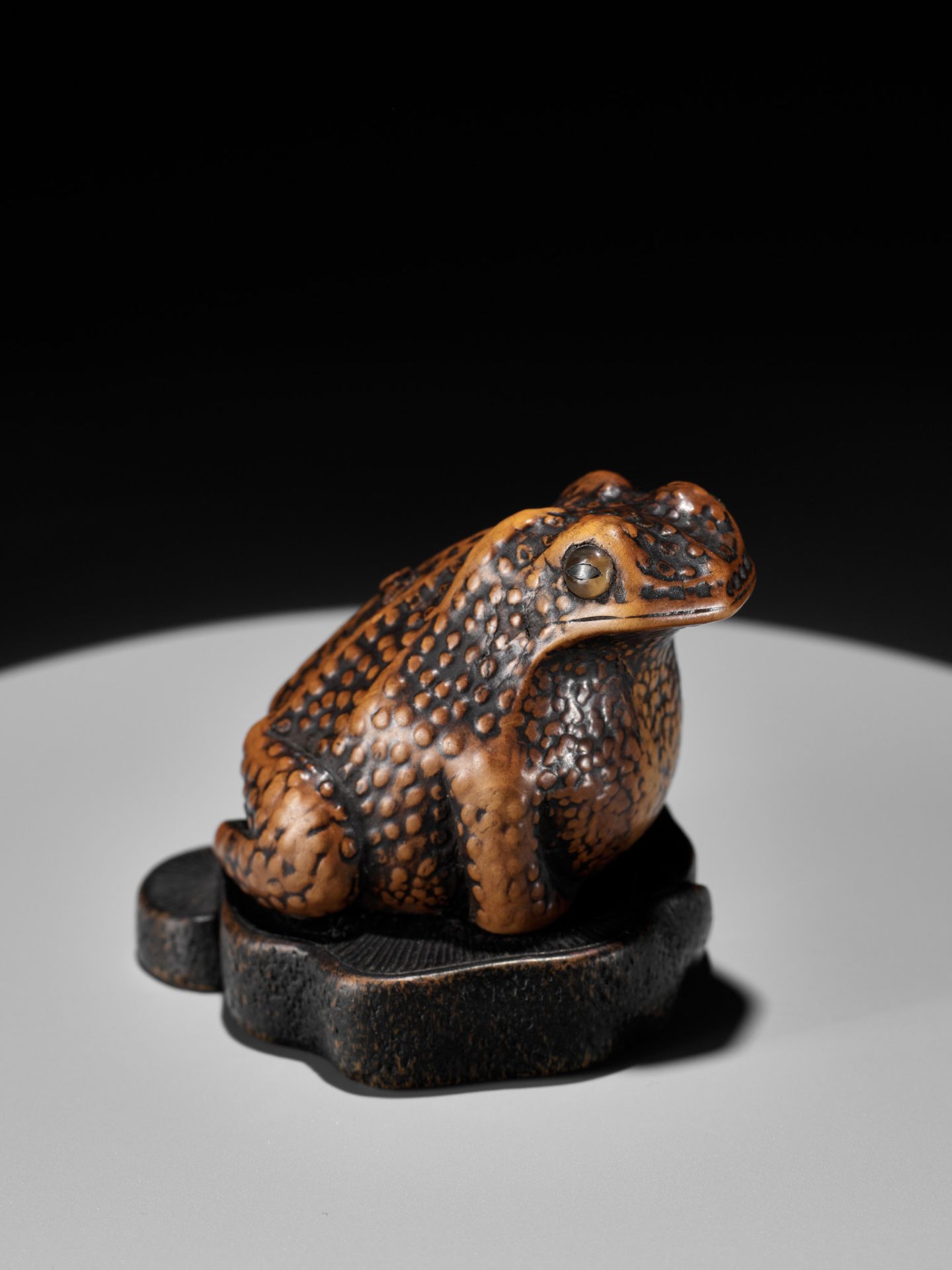 A LARGE AND UNUSUAL WOOD NETSUKE OF A TOAD - Bild 10 aus 11