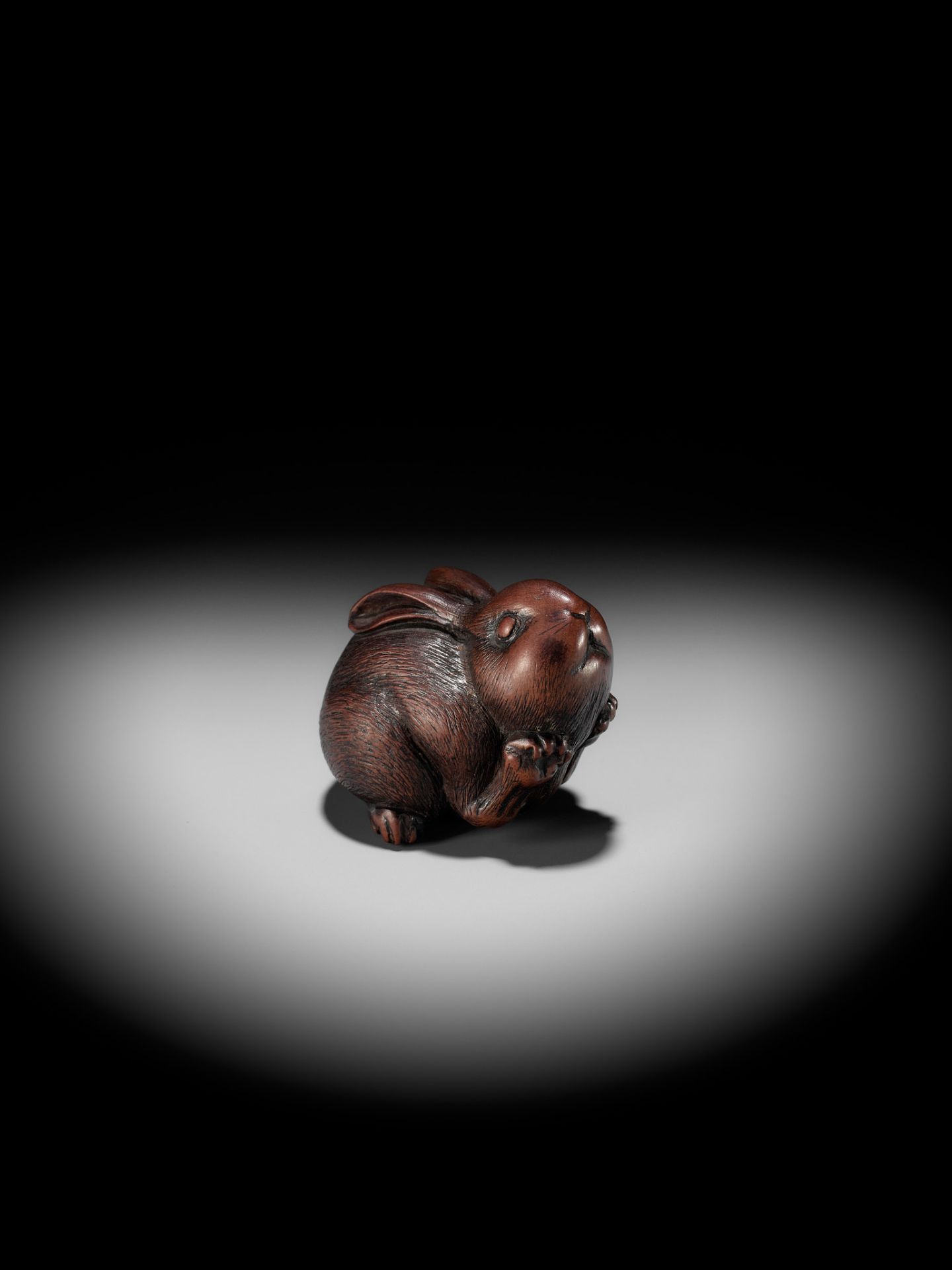 AZAN: A SUPERB WOOD NETSUKE OF A CHUBBY HARE - Image 8 of 15