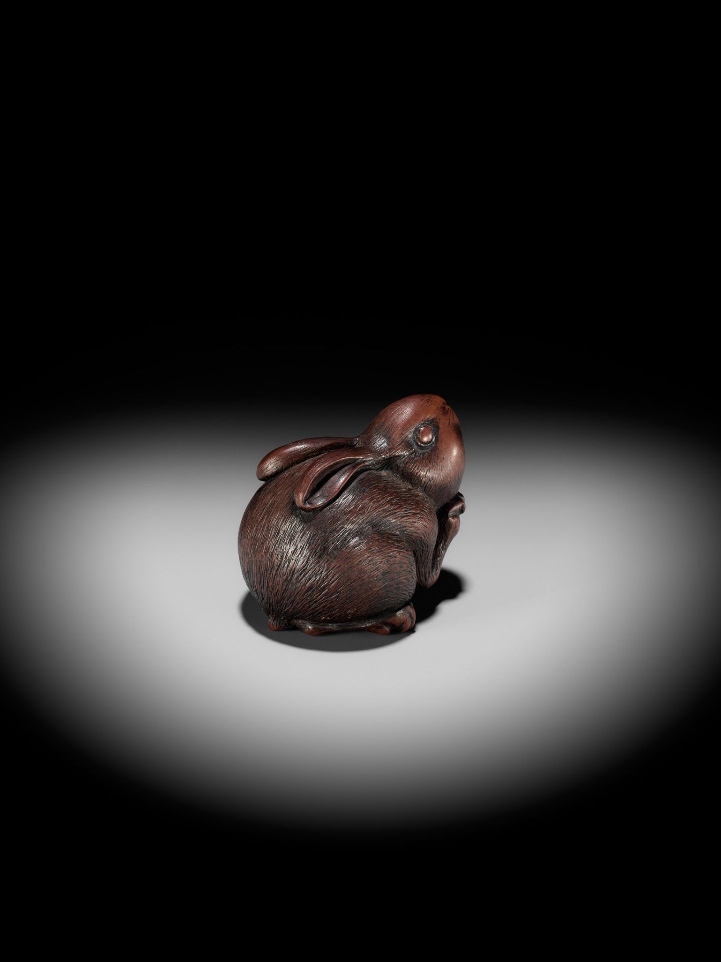 AZAN: A SUPERB WOOD NETSUKE OF A CHUBBY HARE - Image 11 of 15