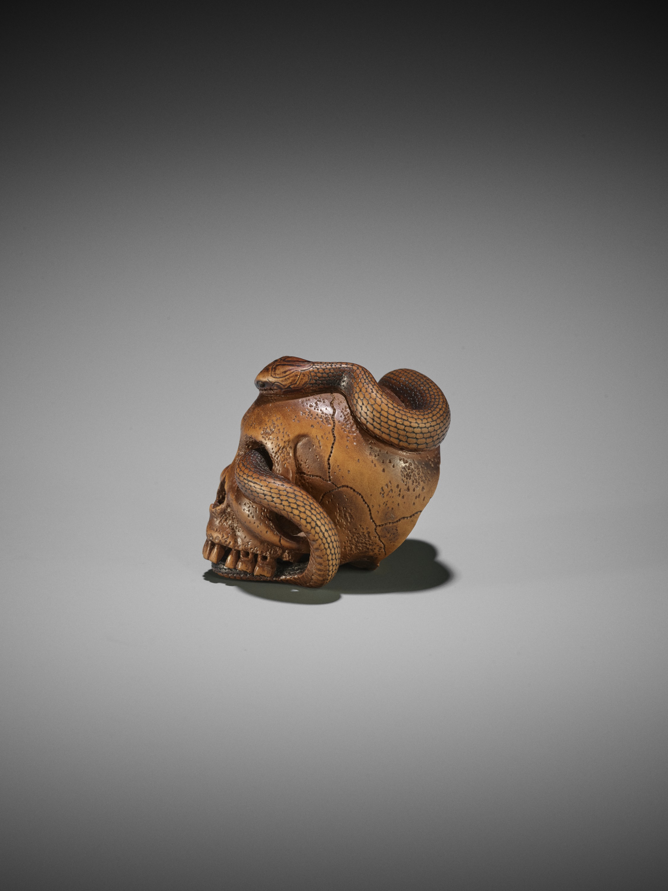 SUKEYUKI: A MASTERFUL WOOD NETSUKE OF A SNAKE AND SKULL - Image 12 of 19