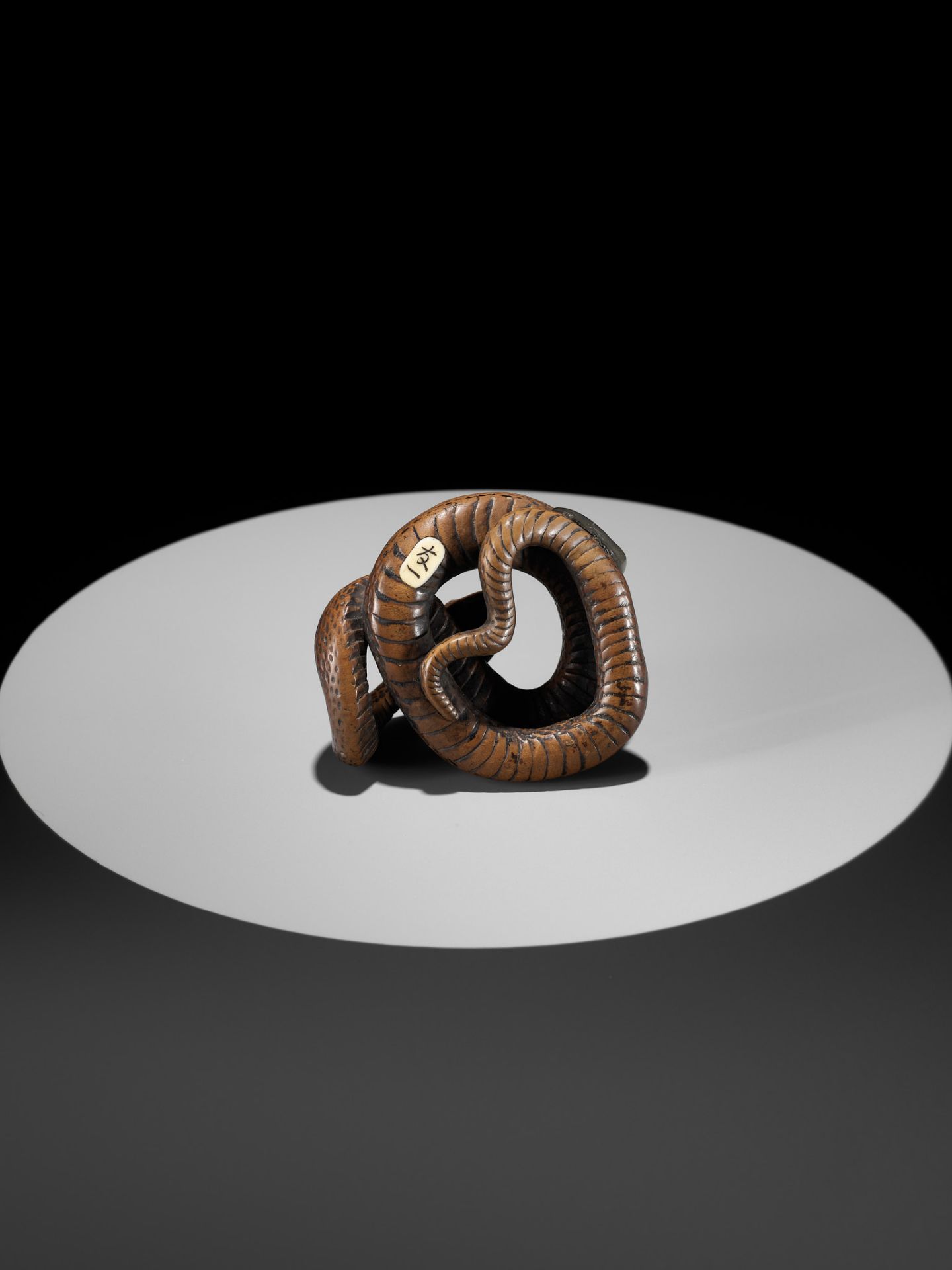 A LARGE AND POWERFUL WOOD NETSUKE OF A COILED SNAKE WITH AN INLAID SLUG BY TOMOKAZU - Bild 12 aus 13