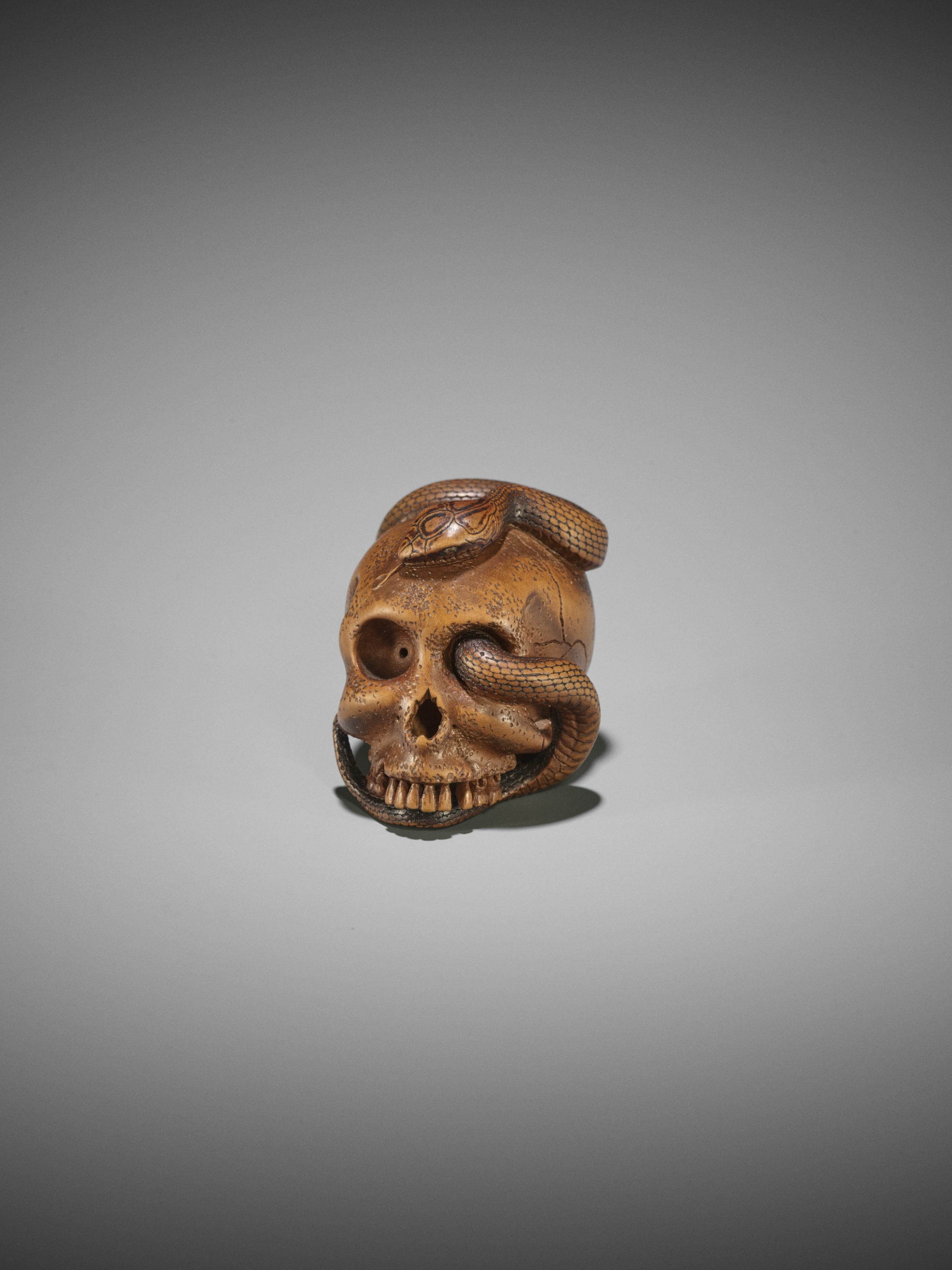 SUKEYUKI: A MASTERFUL WOOD NETSUKE OF A SNAKE AND SKULL - Image 8 of 19