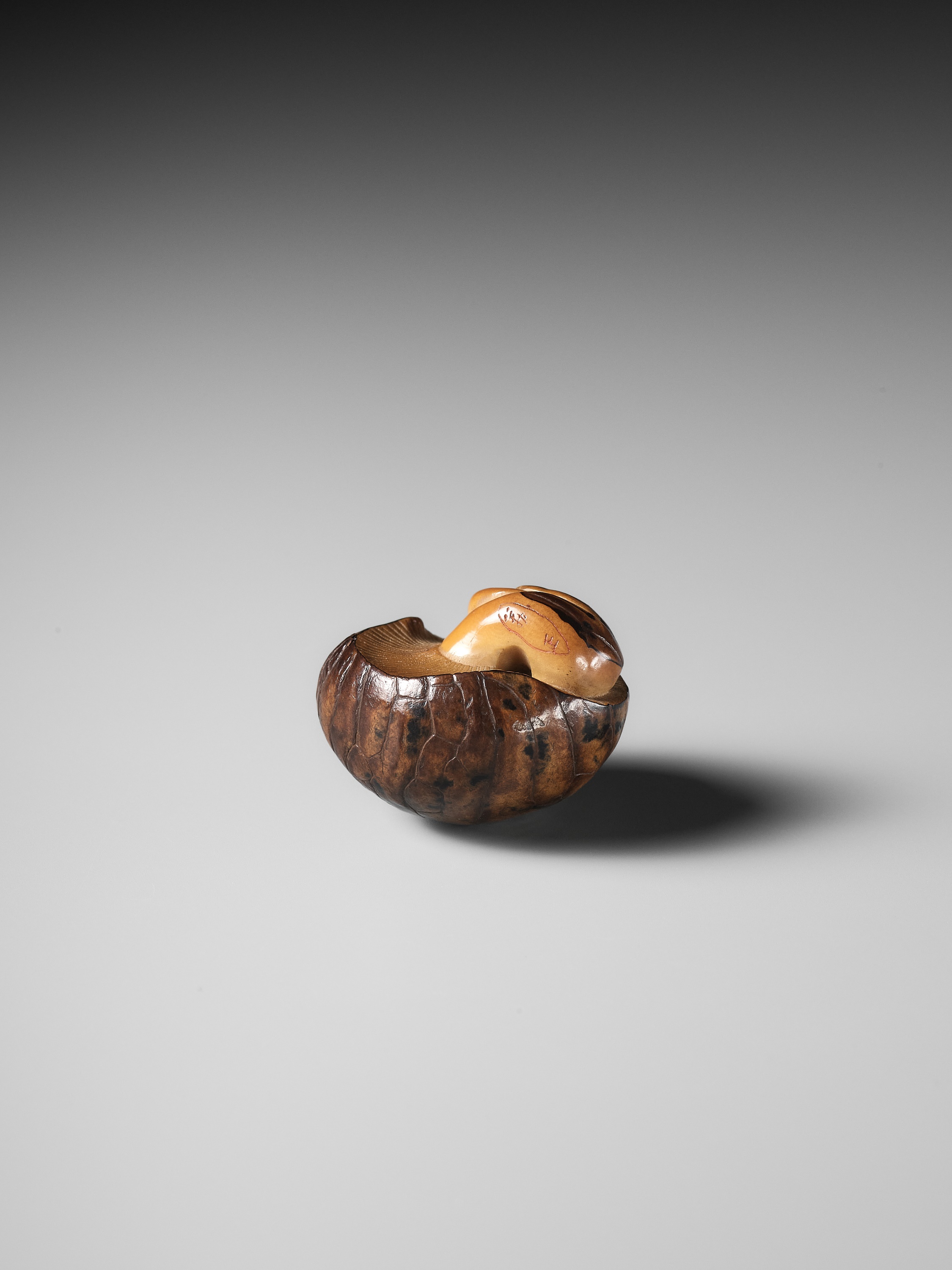 YOSHIMASA: A RARE COROZO NUT NETSUKE OF TWO MUSHROOMS AND A WORM - Image 6 of 11