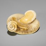 A FINE IVORY NETSUKE OF A SNAIL ON LARGE MUSHROOM