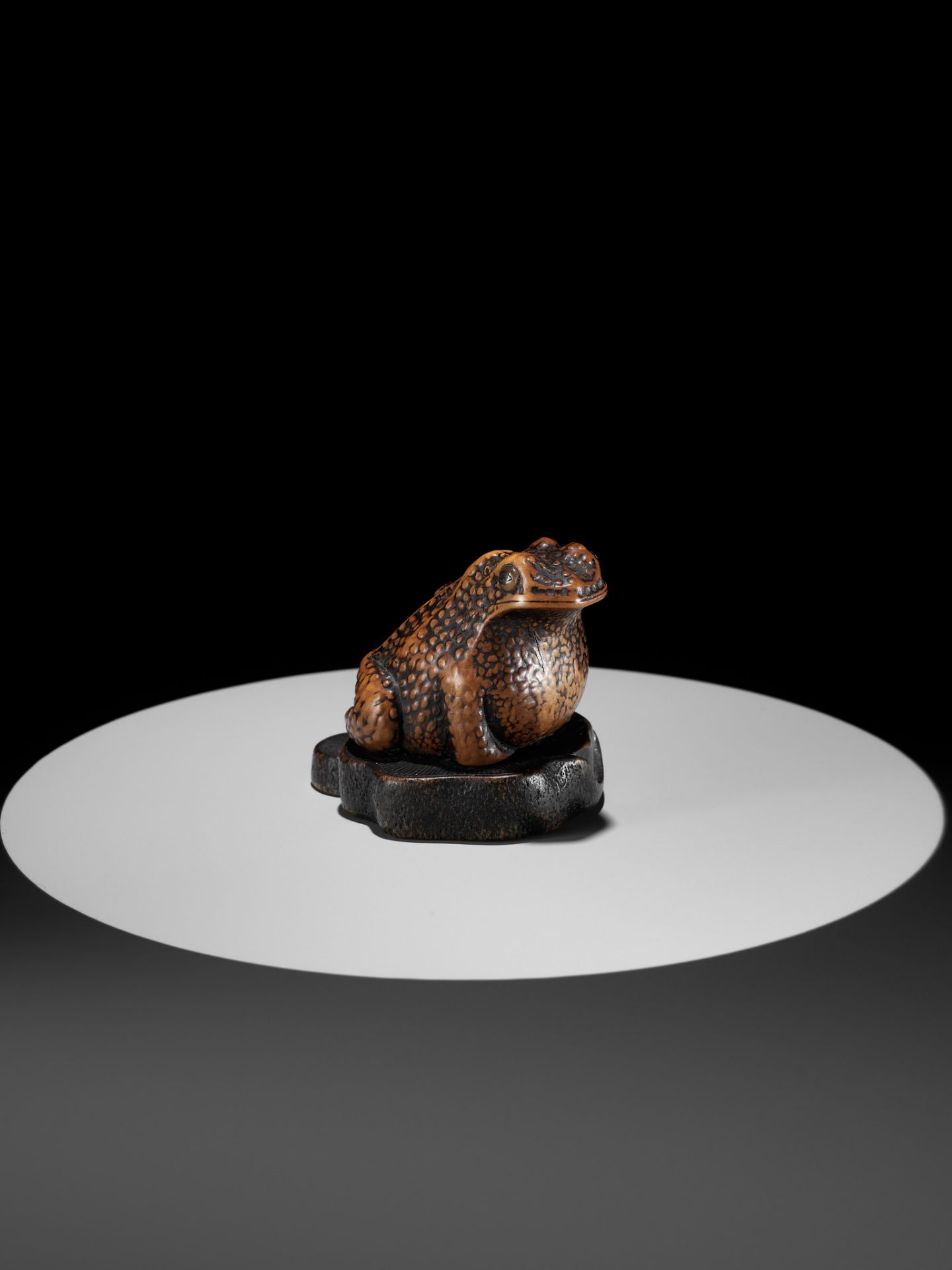 A LARGE AND UNUSUAL WOOD NETSUKE OF A TOAD - Bild 4 aus 11