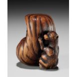 ISSHINSAI: A HUMOROUS WOOD NETSUKE OF TANUKI WITH A MAGICAL DARUMA DOLL SCROTUM