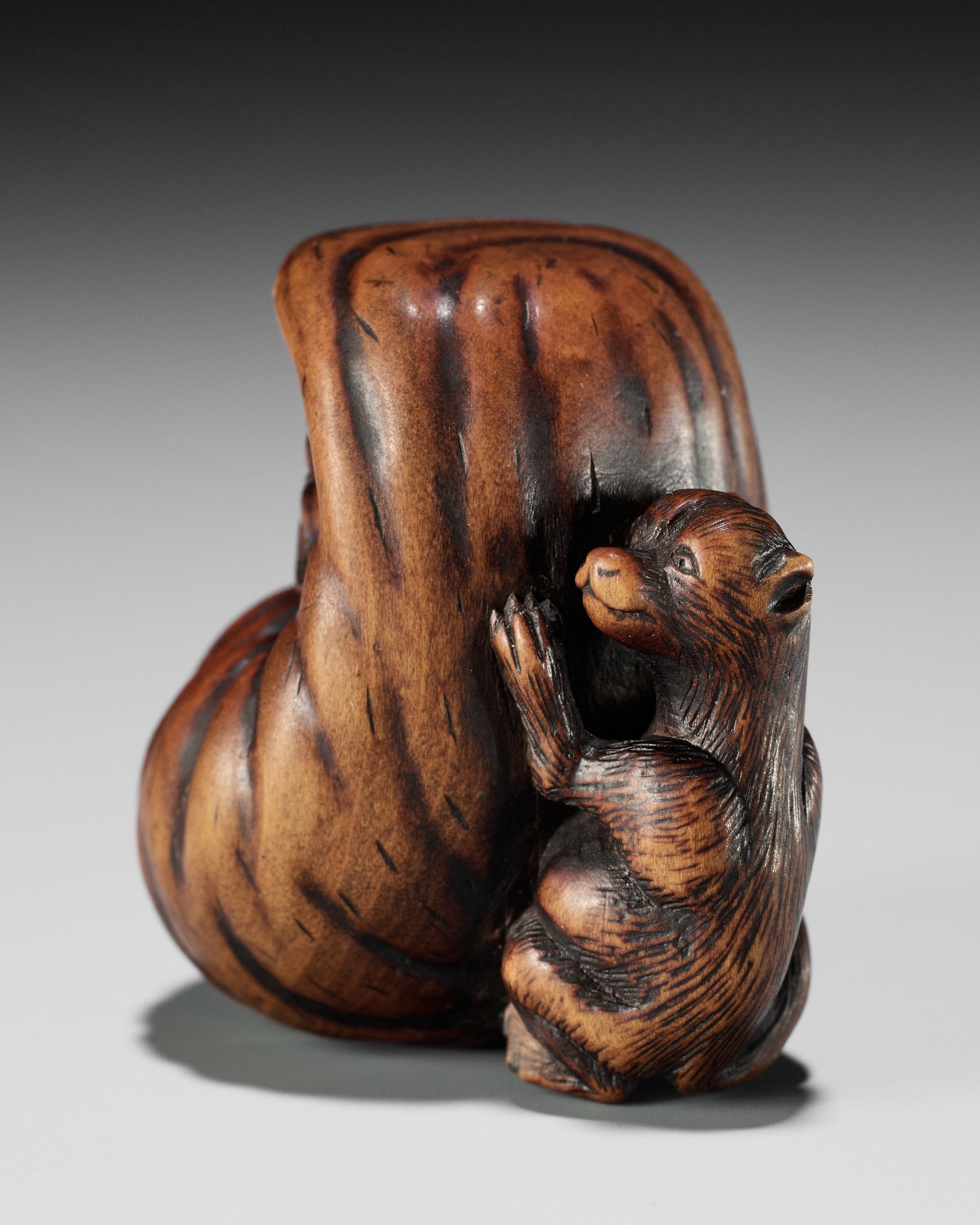 ISSHINSAI: A HUMOROUS WOOD NETSUKE OF TANUKI WITH A MAGICAL DARUMA DOLL SCROTUM