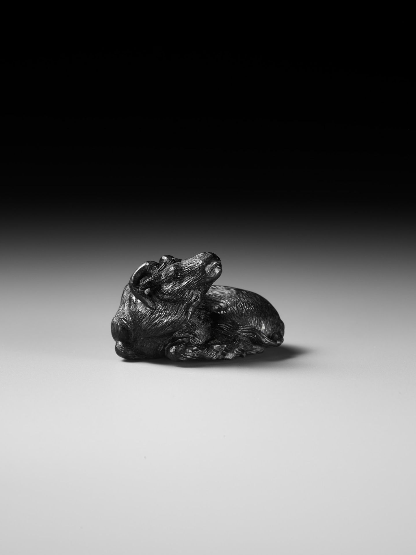 TATEKAWA KOSAI: AN EBONY WOOD NETSUKE OF A RECUMBENT OX - Image 10 of 13