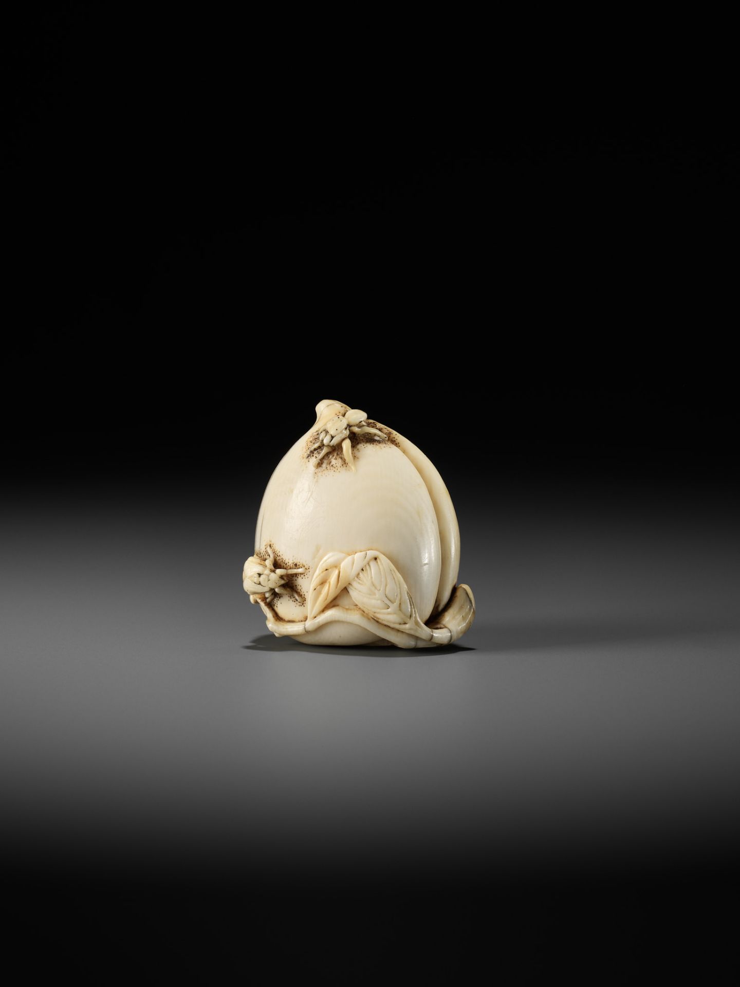 AN IVORY NETSUKE OF A PEACH WITH INSECTS - Image 8 of 10