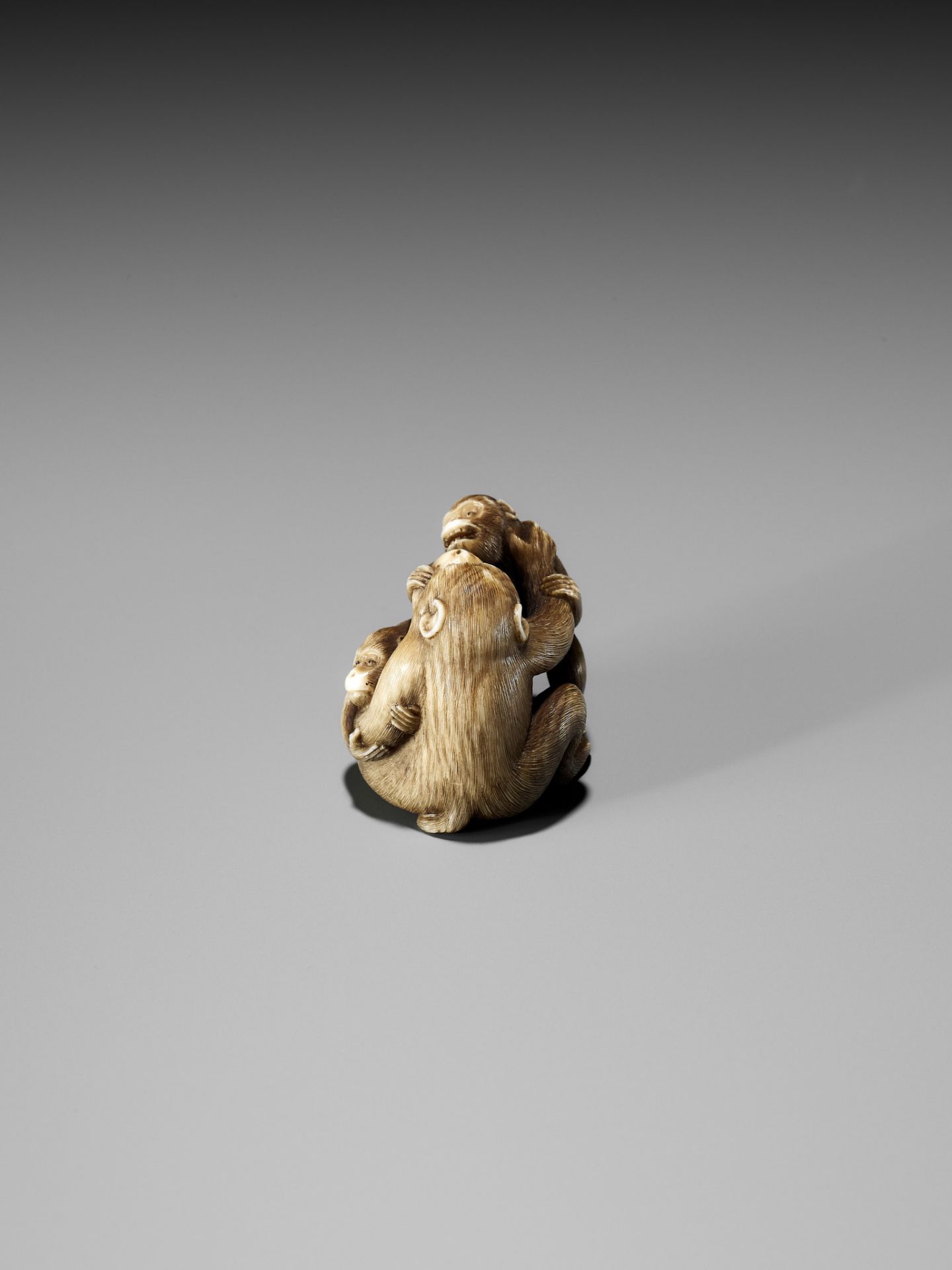 IKKOSAI: A FINE IVORY NETSUKE OF A MONKEY WITH TWO YOUNG - Bild 12 aus 17