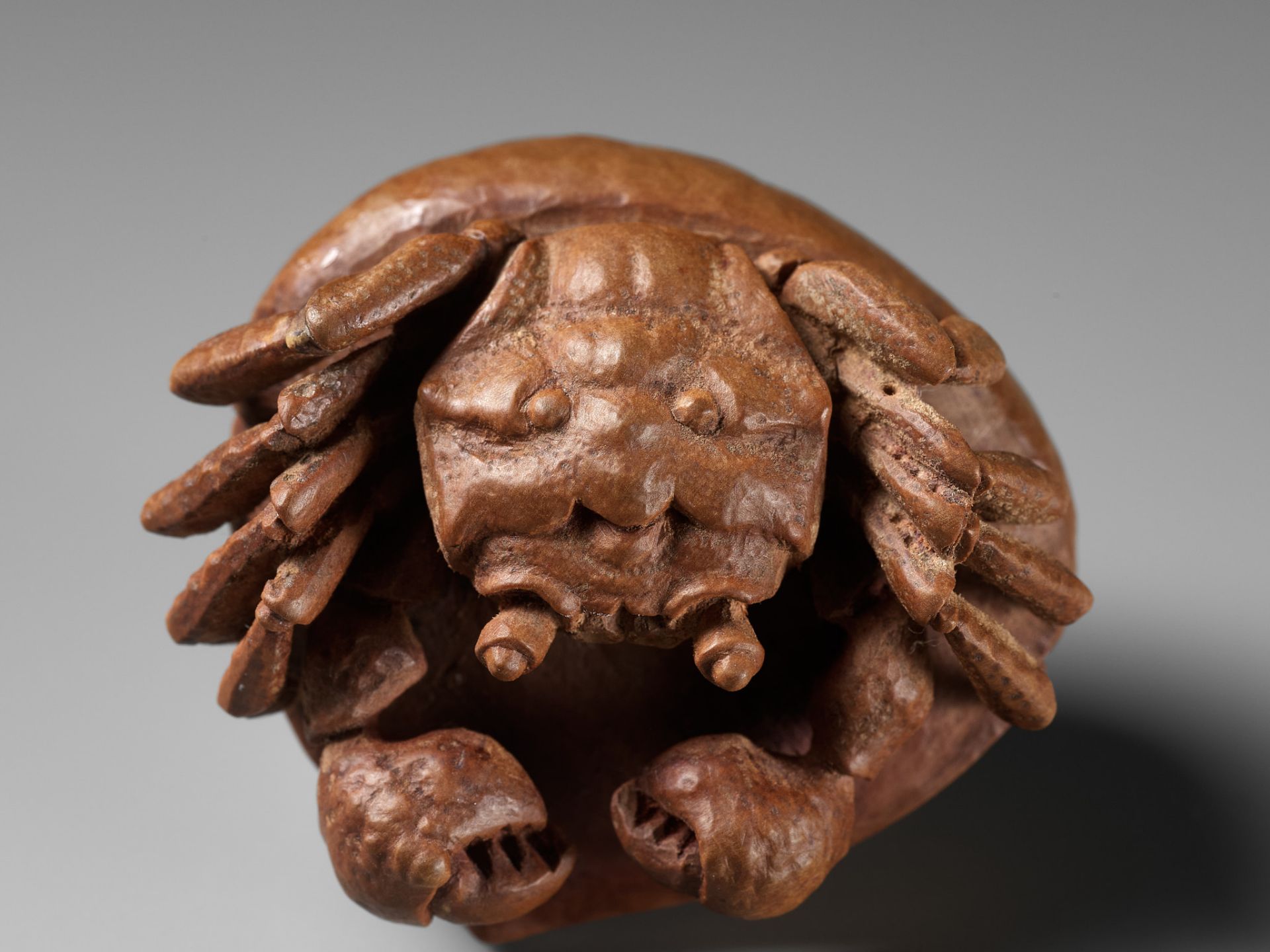 MORITA SOKO: A FINE NETSUKE OF A SAMURAI CRAB (HEIKEGANI) ON A CHESTNUT - Bild 5 aus 16